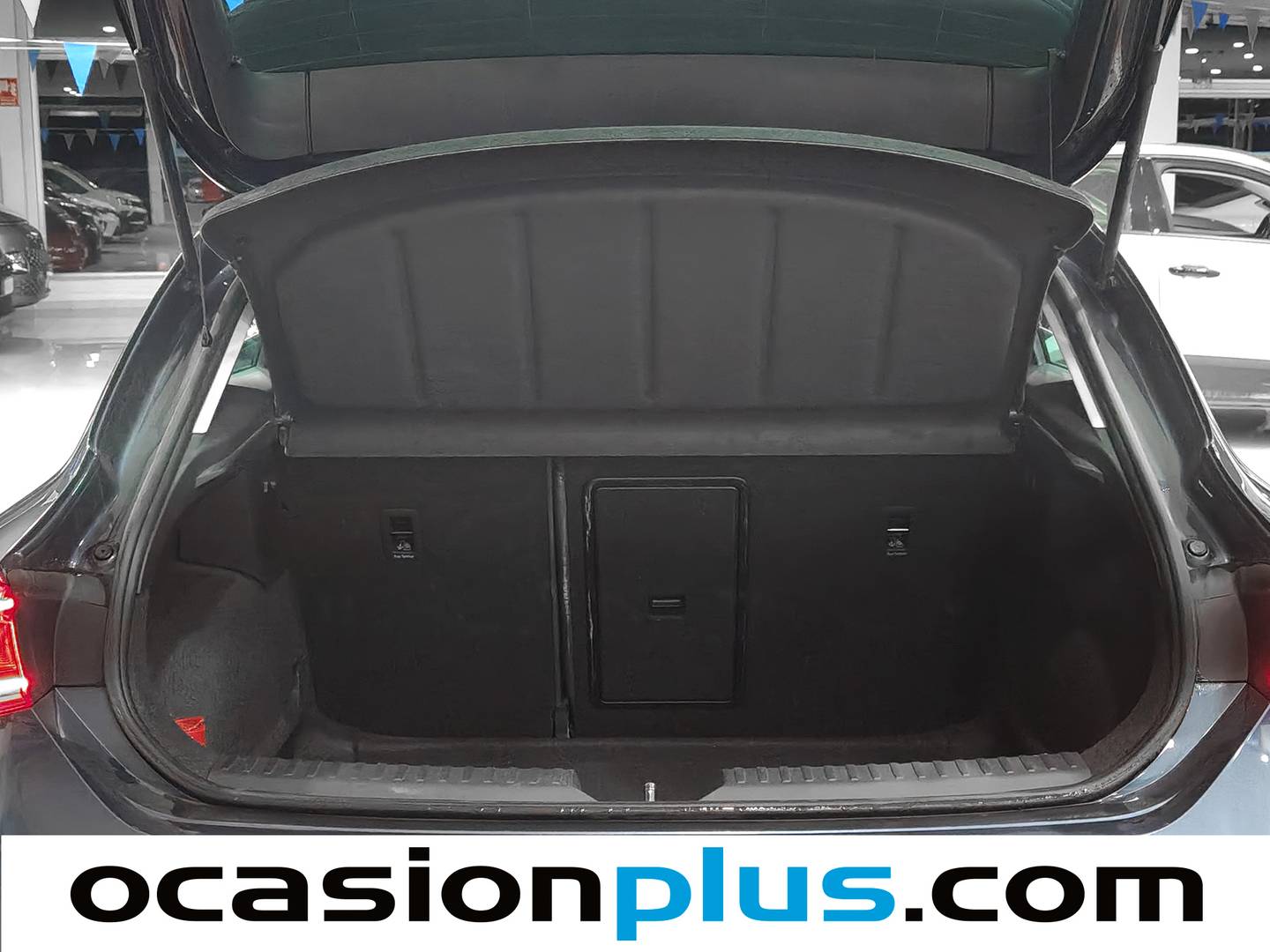 Foto Seat León SEAT León 1.5 eTSI S&S Xcellence Go L DSG (150 CV)