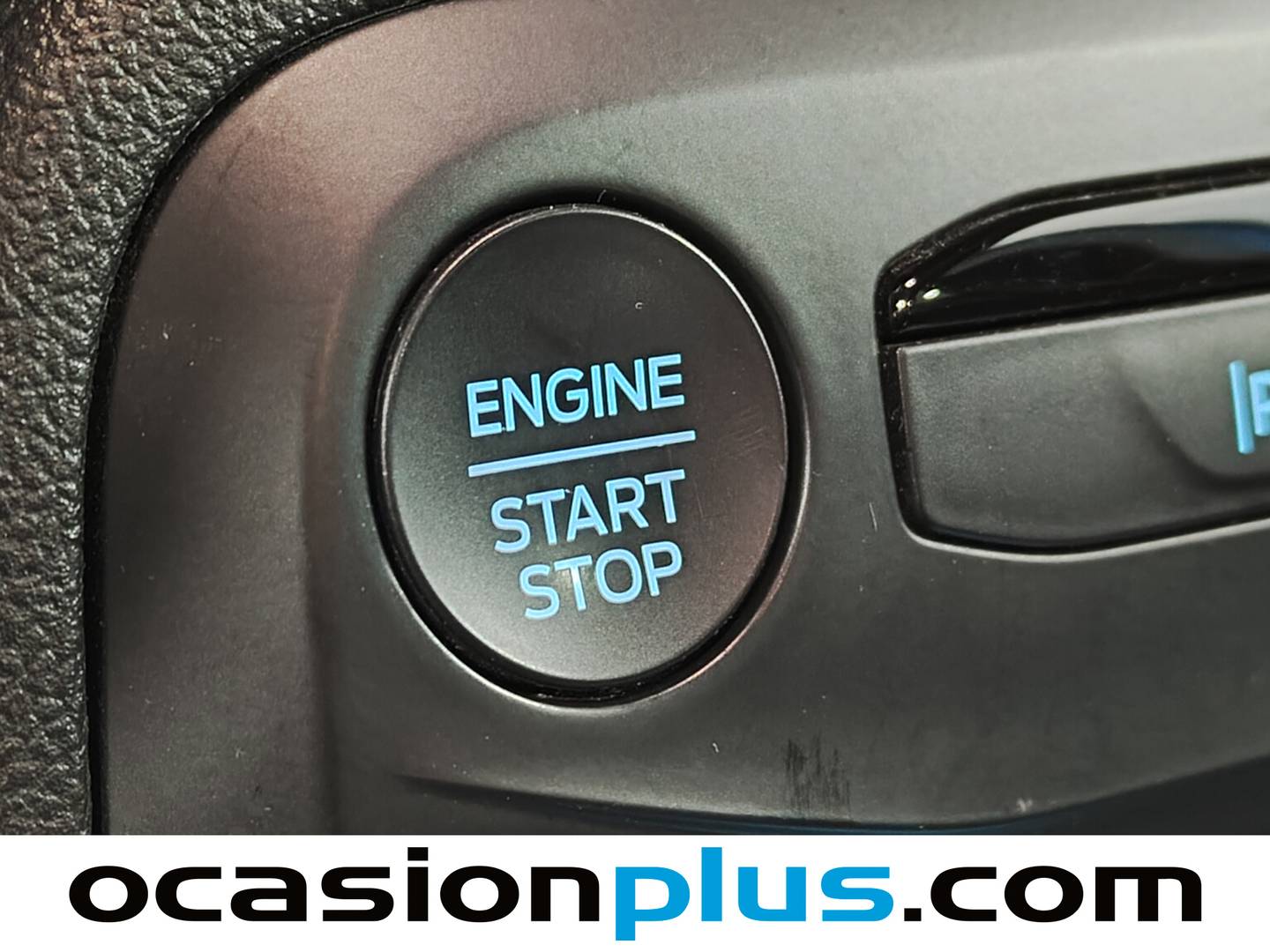 Accesorios del Ford Focus Ford Focus 1.0 Ecoboost MHEV ST-Line (125 CV)