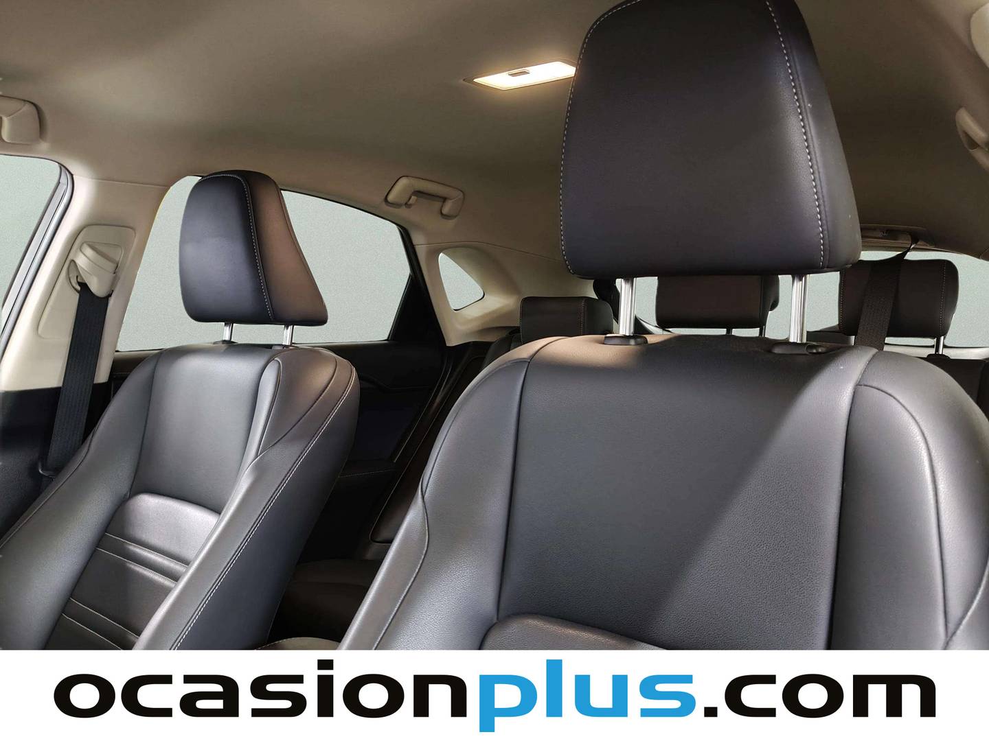 Lexus NX Lexus NX 300h Executive 4WD + Navibox (197 CV) seminuevo