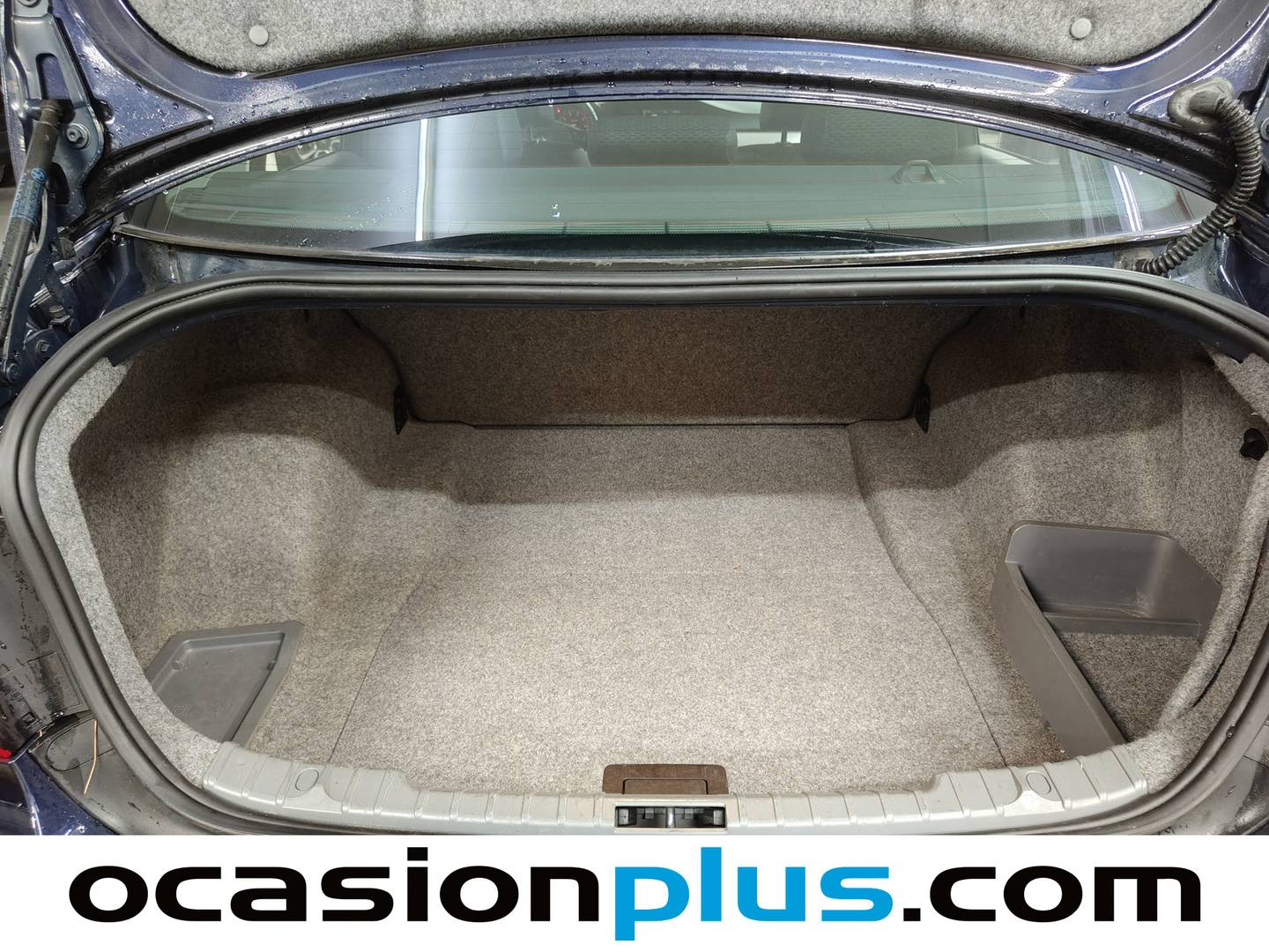 Foto BMW Serie 3 BMW Serie 3 318i (143 CV)