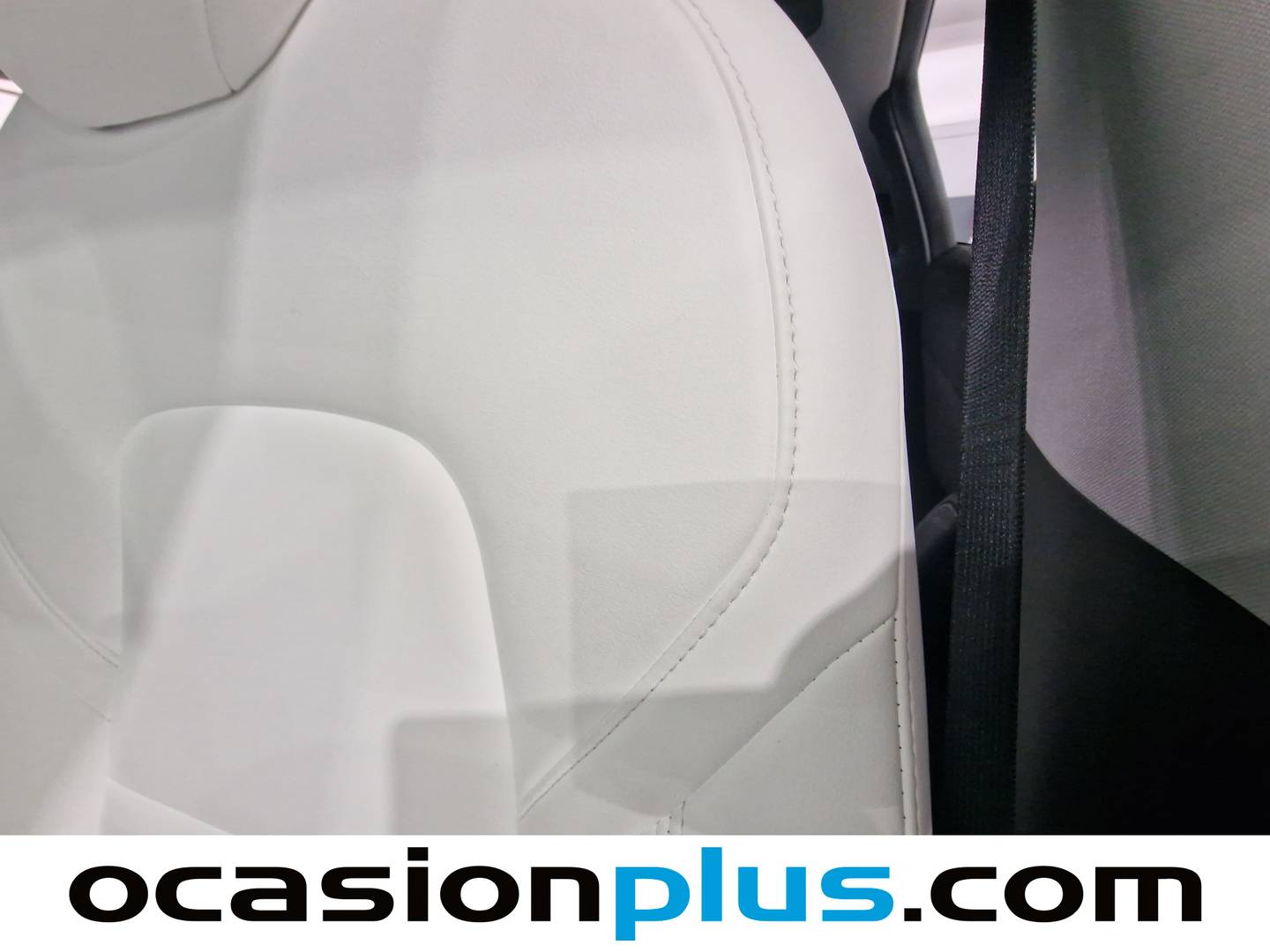 Tesla Model Y Tesla Model Y Performance 4WD (534 CV) 534cv
