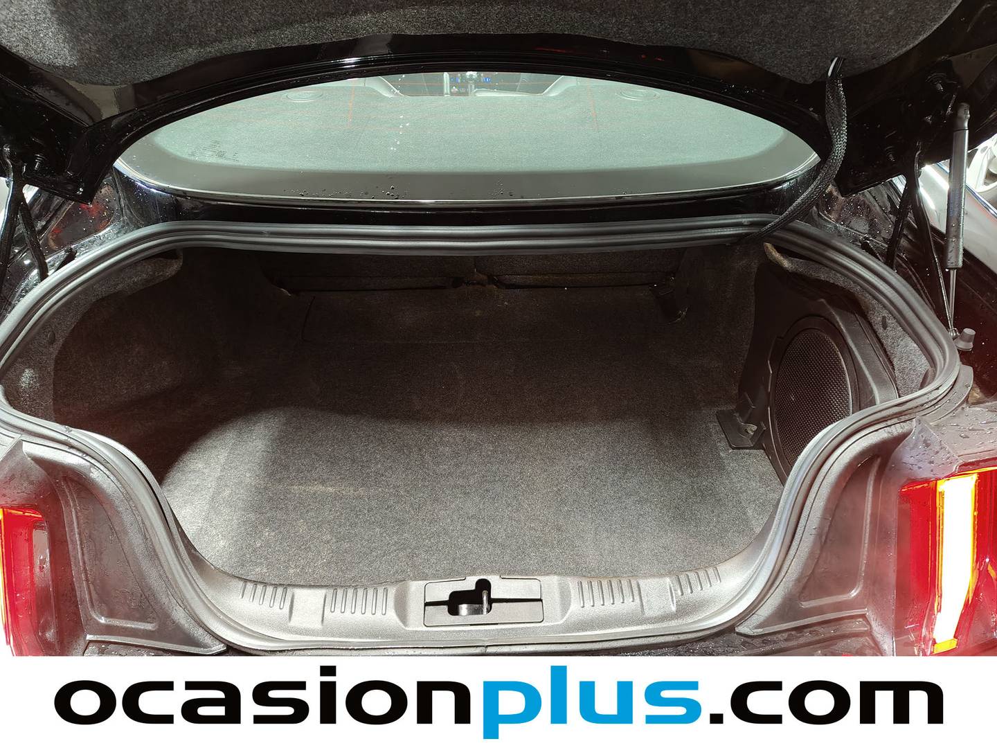 Foto Ford Mustang Ford Mustang 5.0 Ti-VCT V8 Mustang GT Fastback AT (450 CV)