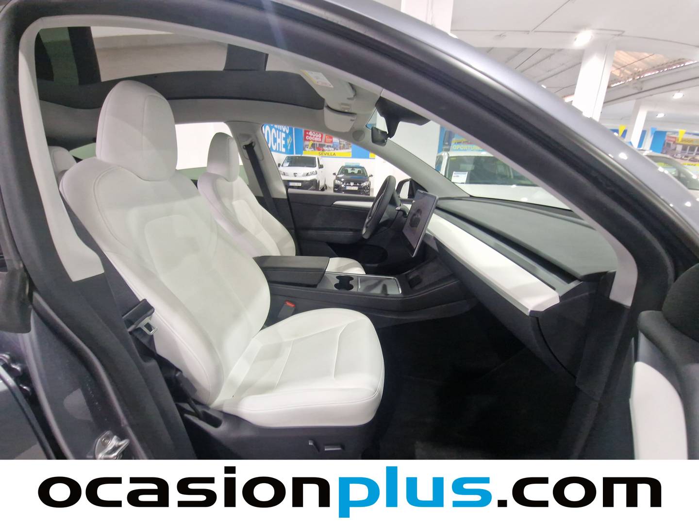 Tesla Model Y Tesla Model Y Performance 4WD (534 CV) seminuevo