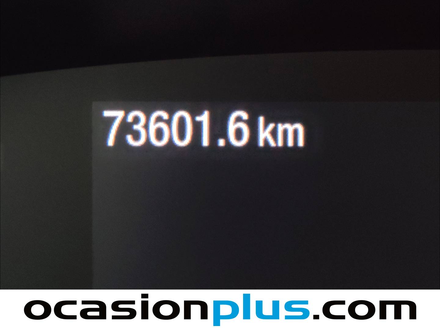 Ford Focus Ford Focus Sportbreak 2.0 Ecoblue Titanium Auto (150 CV) 150cv