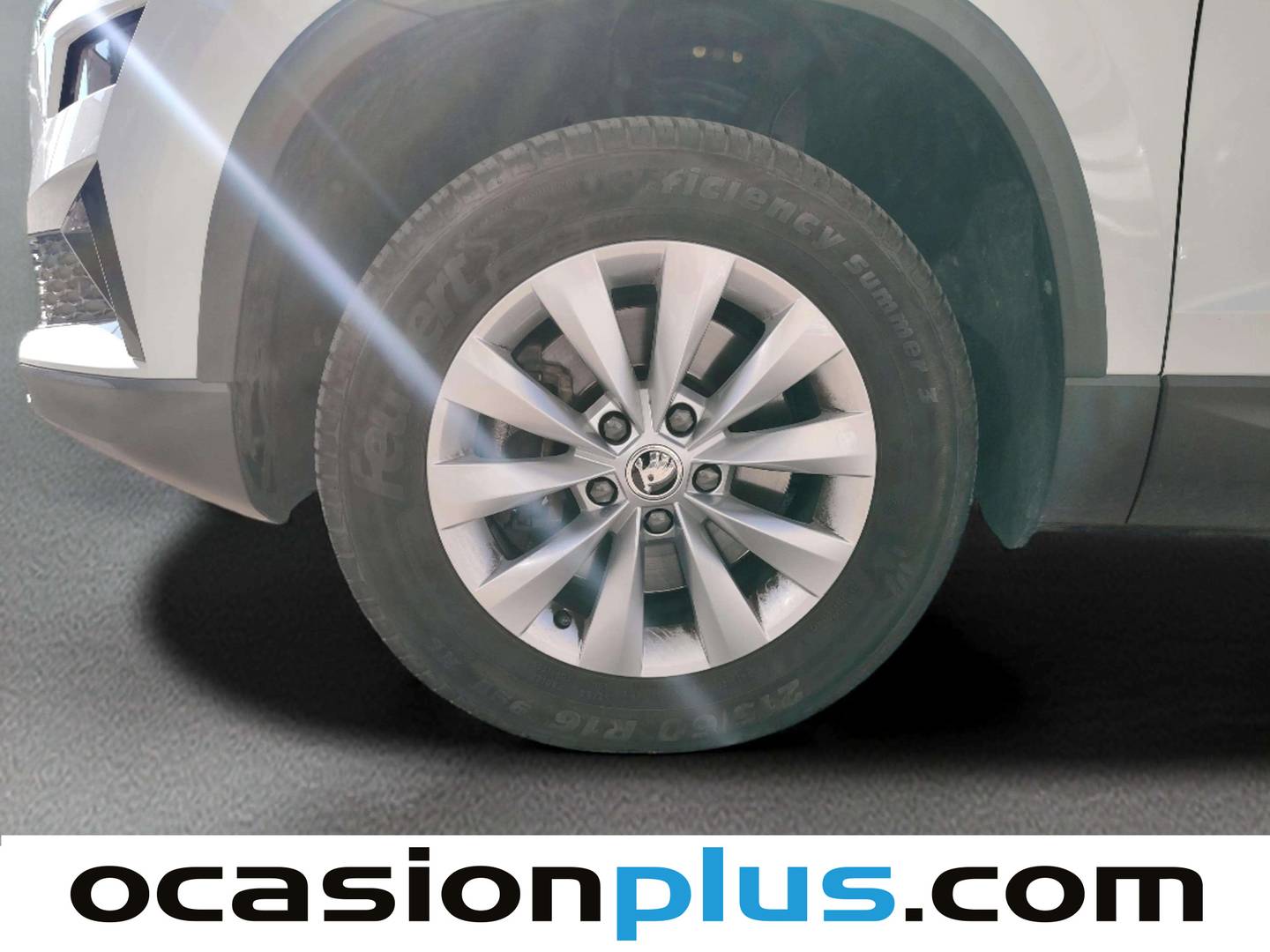 Skoda Karoq Skoda Karoq 2.0 TDI Selection (115 CV) de ocasión