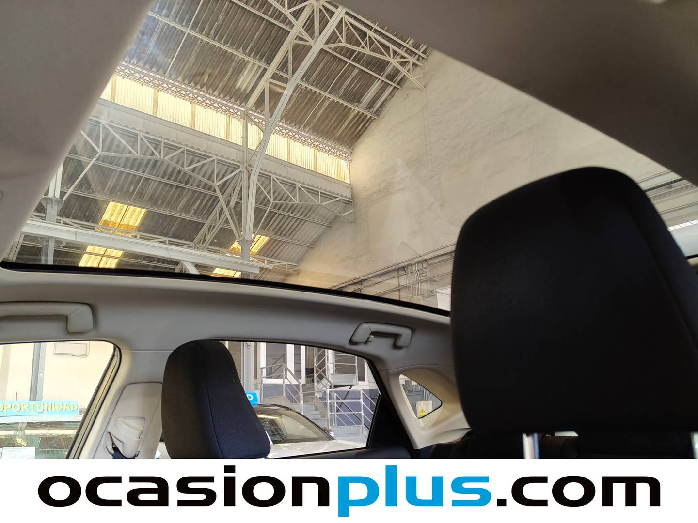Extras y acabados del Lexus NX Lexus NX 300h Sport Edition 2WD (197 CV)