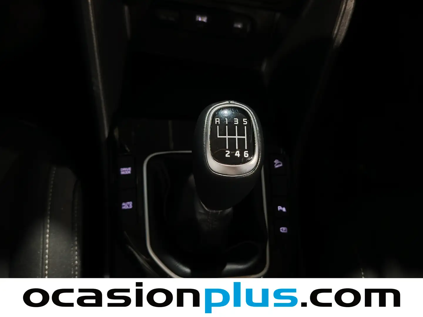 Foto KIA Sportage Kia Sportage 1.6 T-GDi MHEV Drive 4x2  (150 CV)