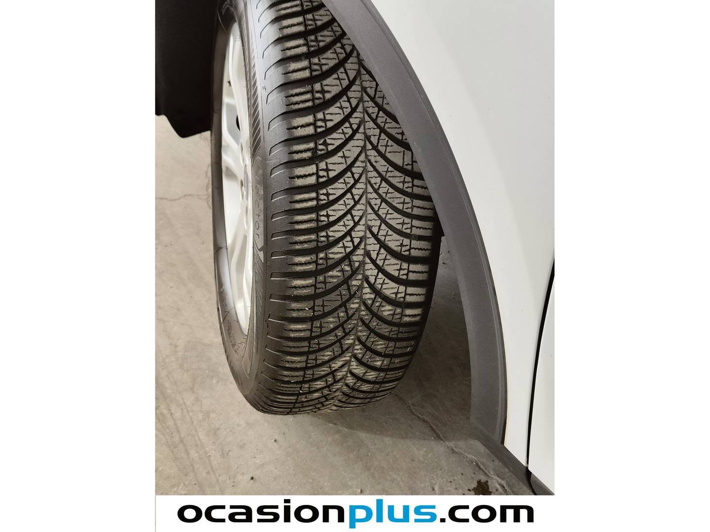 Ford Kuga Ford Kuga 1.5 EcoBlue Trend (120 CV) 120cv