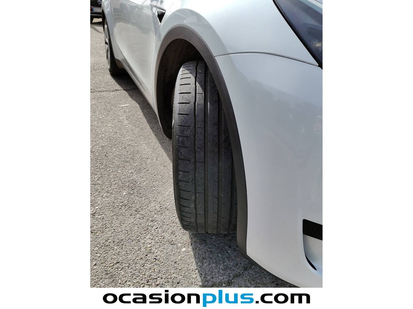 Tesla Model Y Tesla Model Y Tracción Trasera RWD (347 CV) al mejor precio