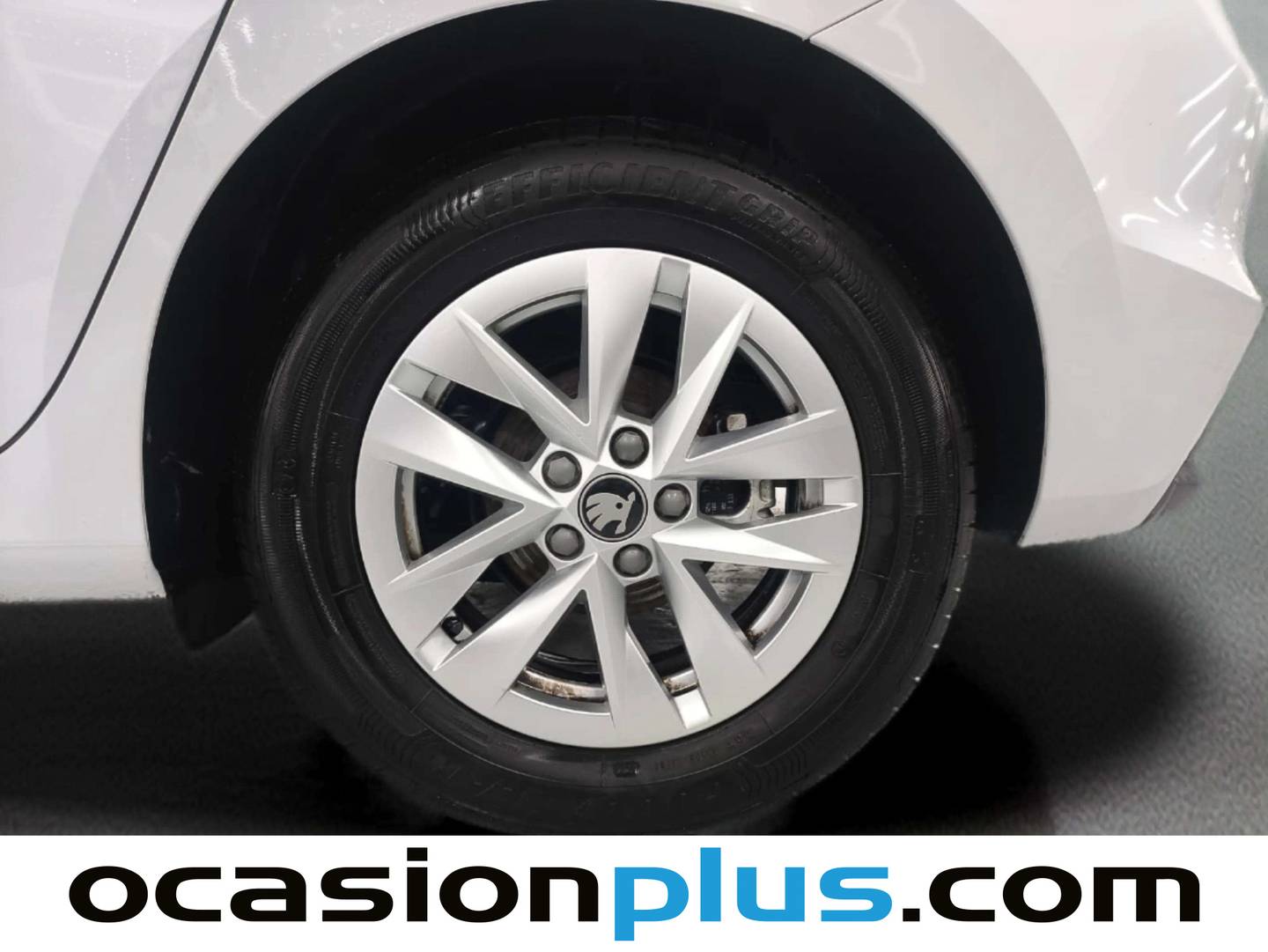 Foto Skoda Fabia Skoda Fabia 1.0 TSI Selection (95 CV)