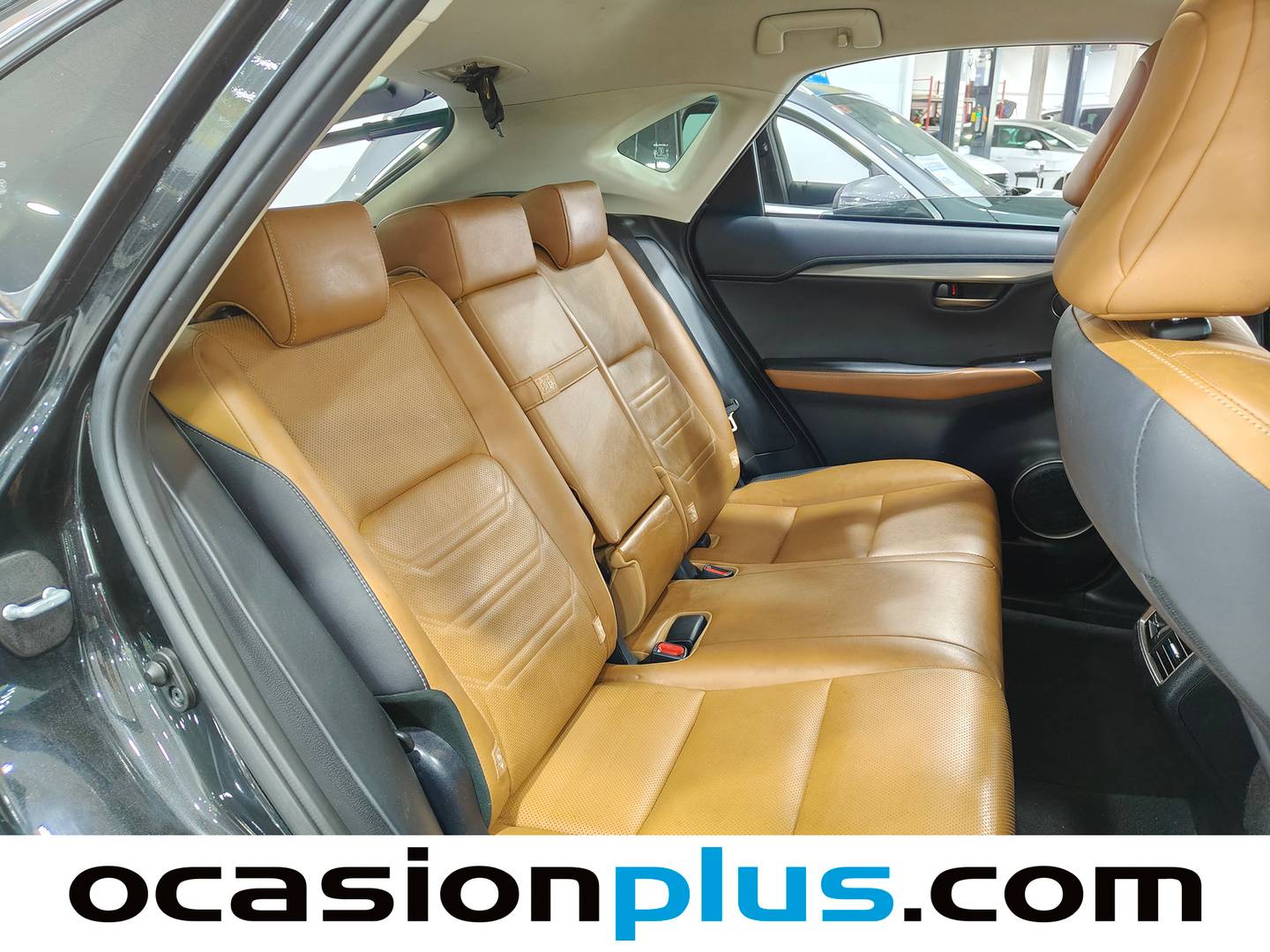 Lexus NX Lexus NX 300h Executive Navigation 4WD (197 CV) híbrido