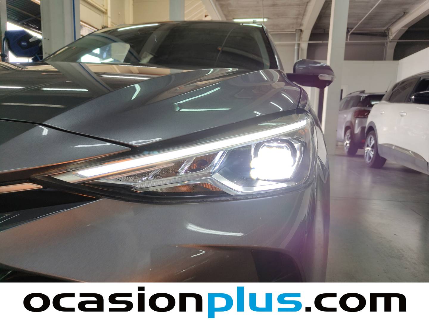 MG ZS MG ZS 1.5 Hybrid+ Luxury (197 CV) barato