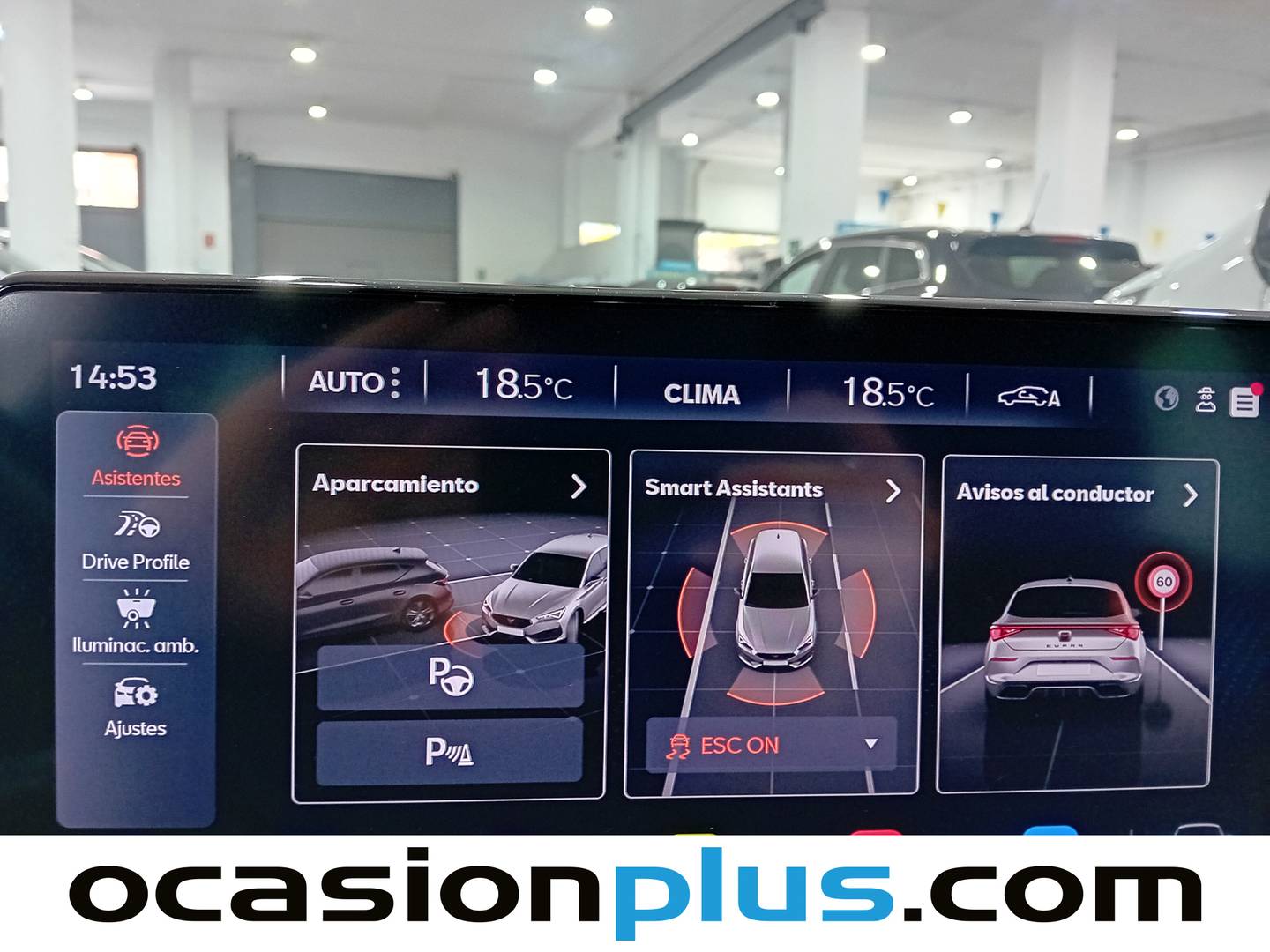 Cupra León CUPRA León 1.5 eTSI DSG (150 CV) barato