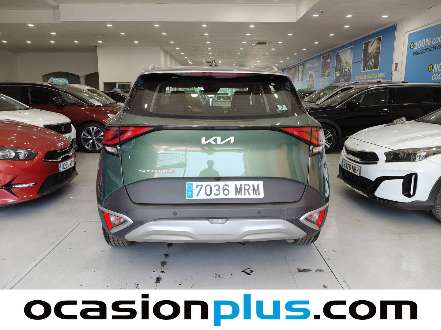 KIA Sportage KIA Sportage 1.6 T-GDi MHEV Drive 4x2 (150 CV) seminuevo
