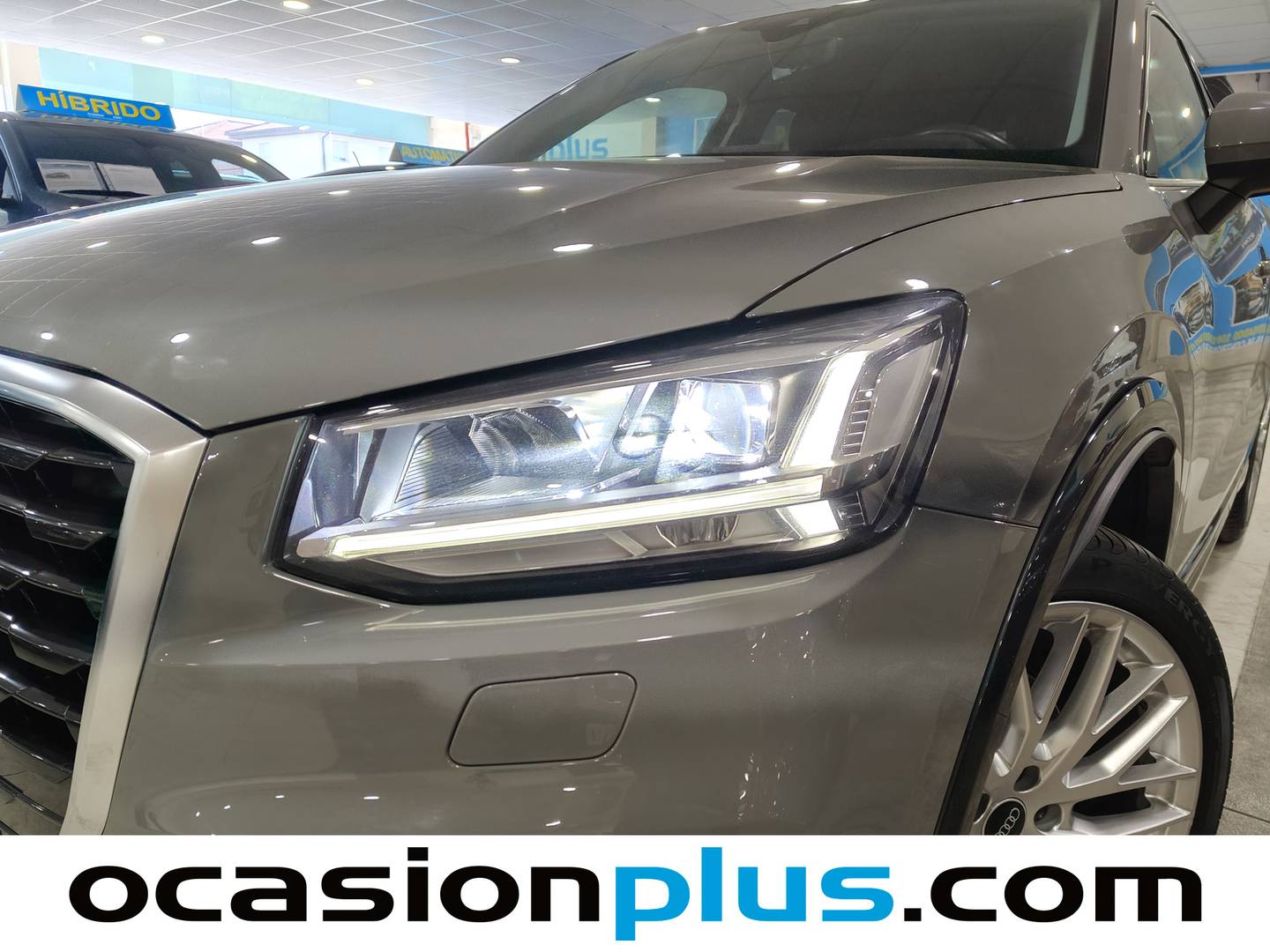 Audi Q2 Audi Q2 ALL-IN edition 30 TDI (116 CV) al mejor precio