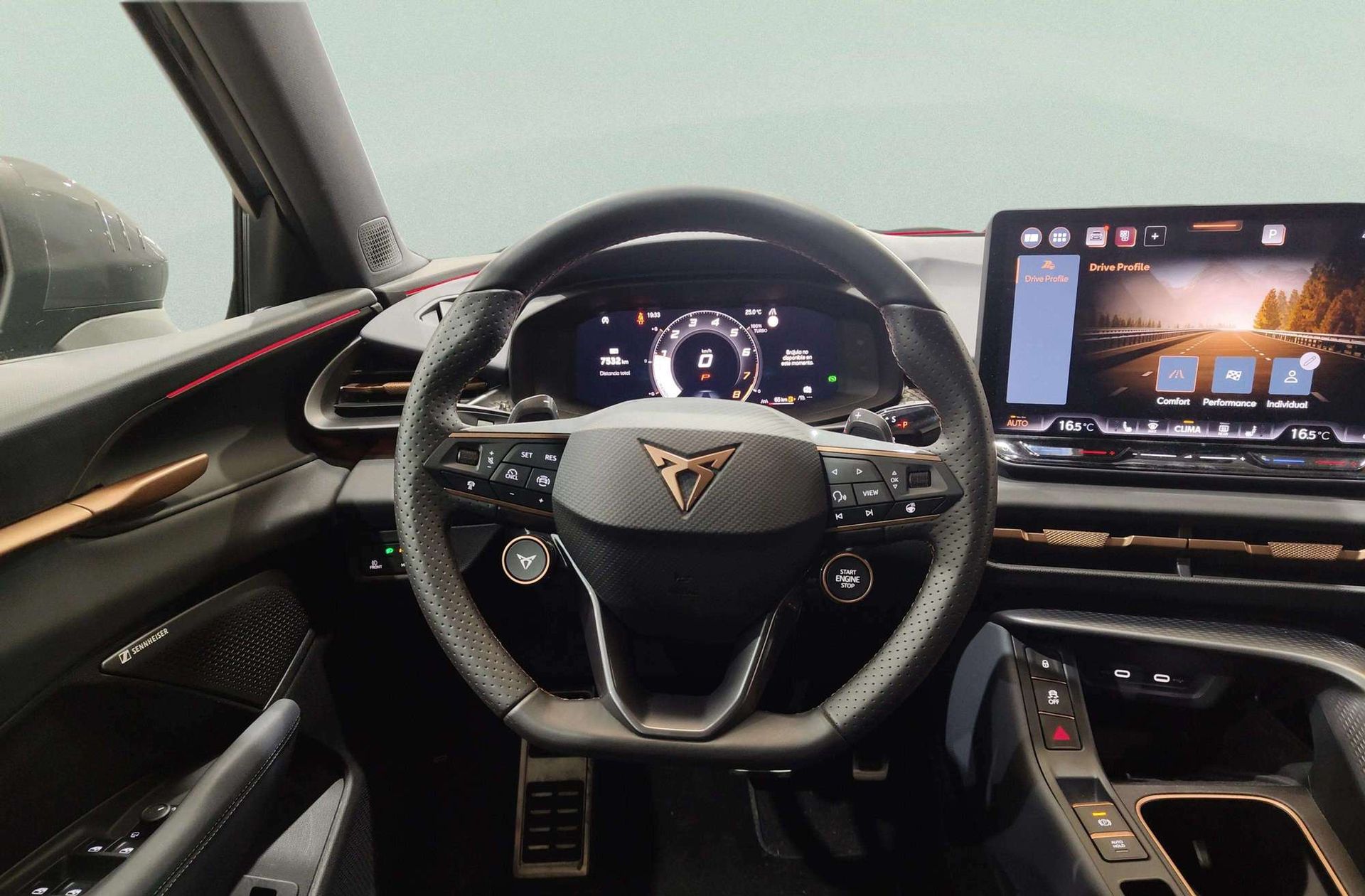 Cupra Terramar 1.5 eTSI DSG - foto 26