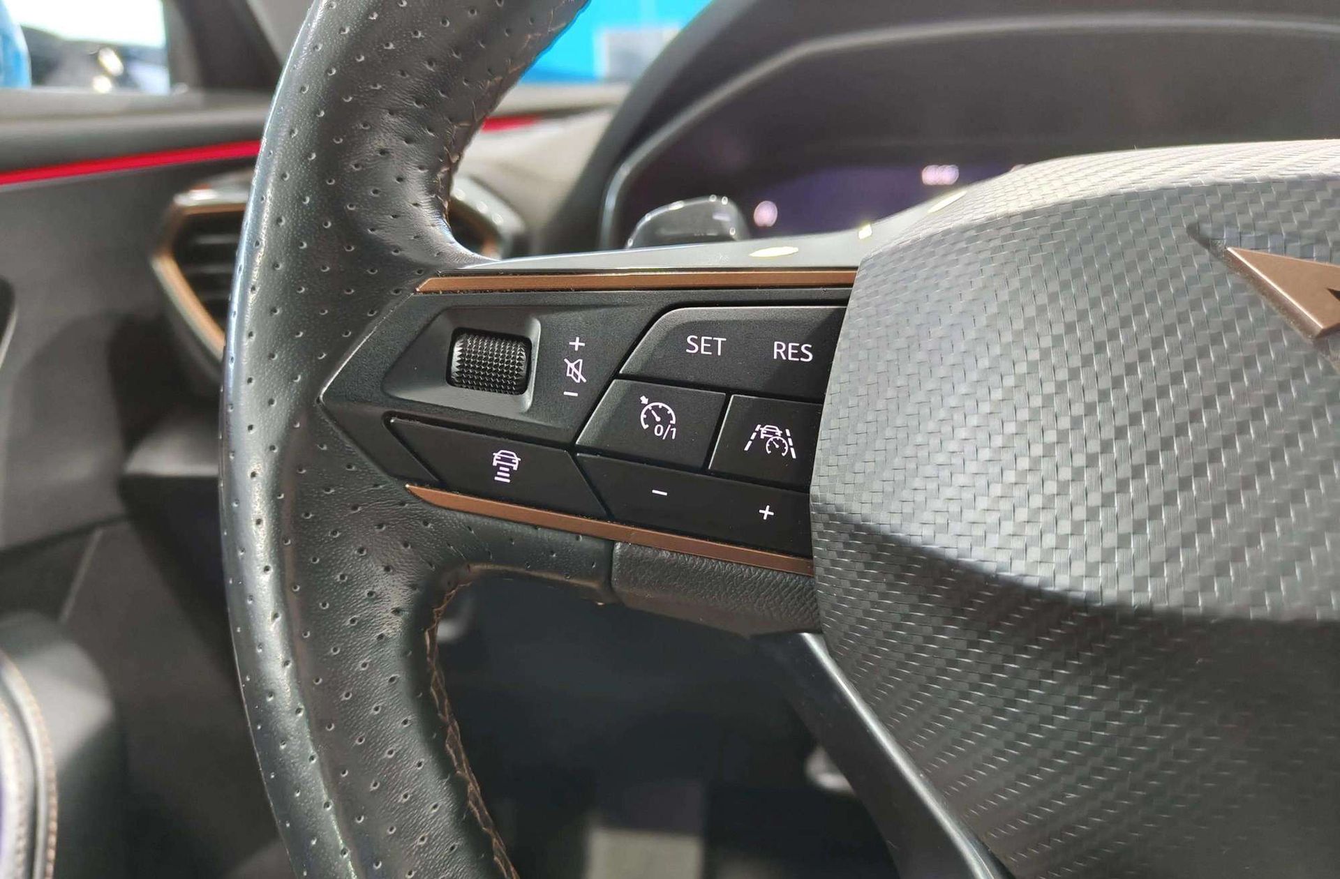 Cupra Formentor 2.0 TSI 4Drive DSG - foto 37