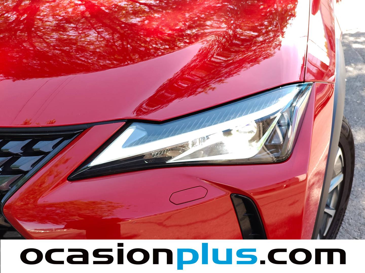 Extras del Lexus UX Lexus UX 300e Business (204 CV)
