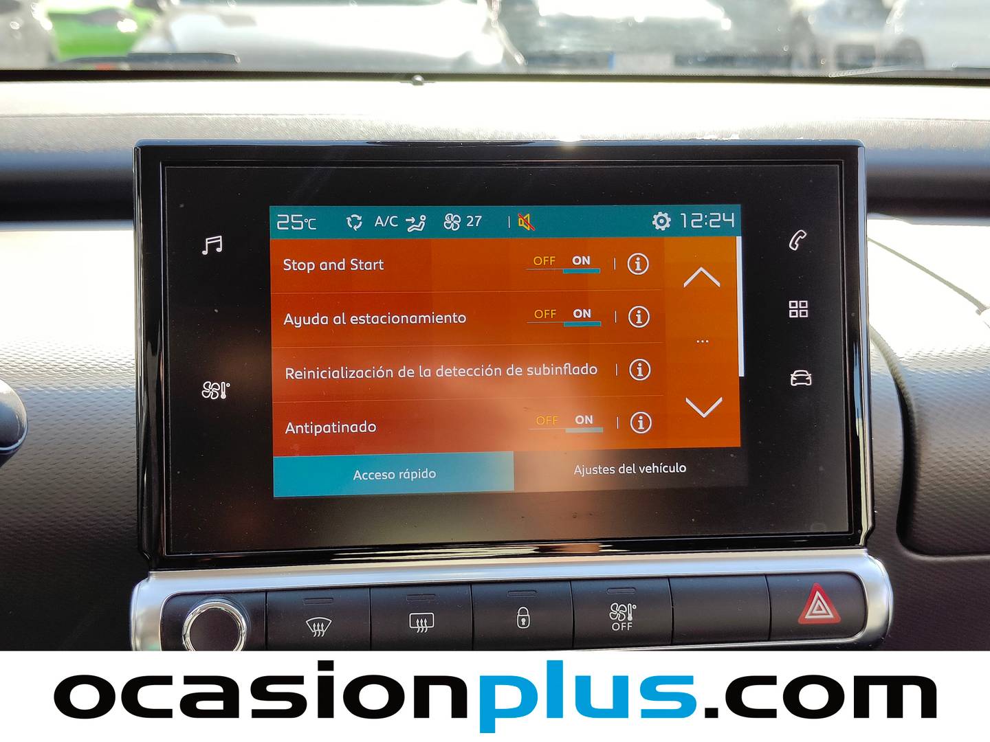 Accesorios del Citroën C4 Cactus Citroën C4 Cactus PureTech 110 S&S Feel (110 CV)