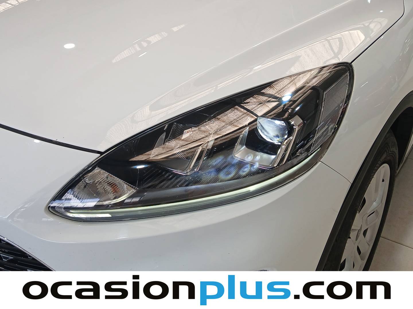 Ford Kuga Ford Kuga 1.5 EcoBlue Trend (120 CV) barato