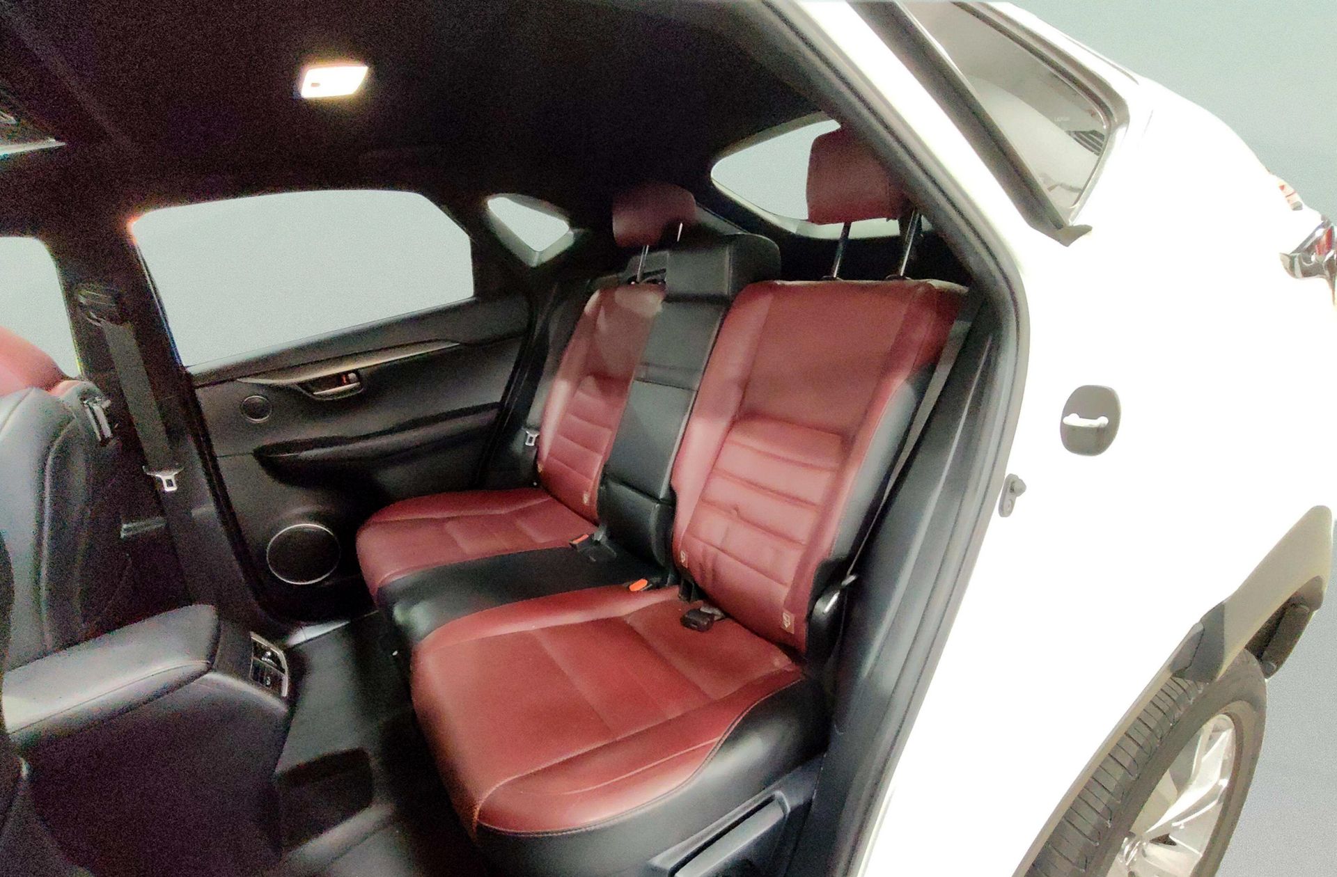 Lexus NX 300h F Sport 4WD Navibox - foto 14