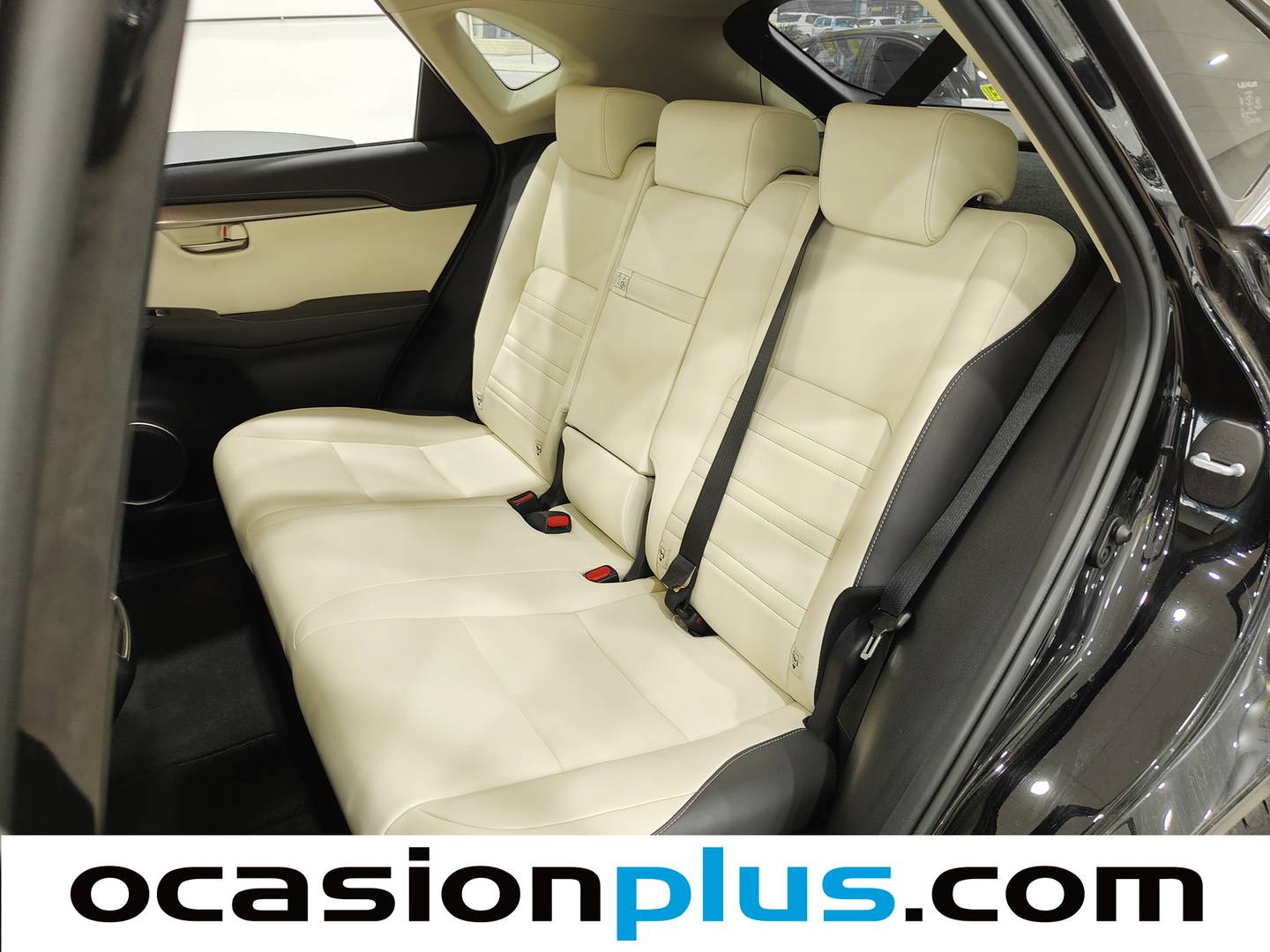 Foto asientos traseros Lexus NX Lexus NX 300h Premium 2WD (197 CV)