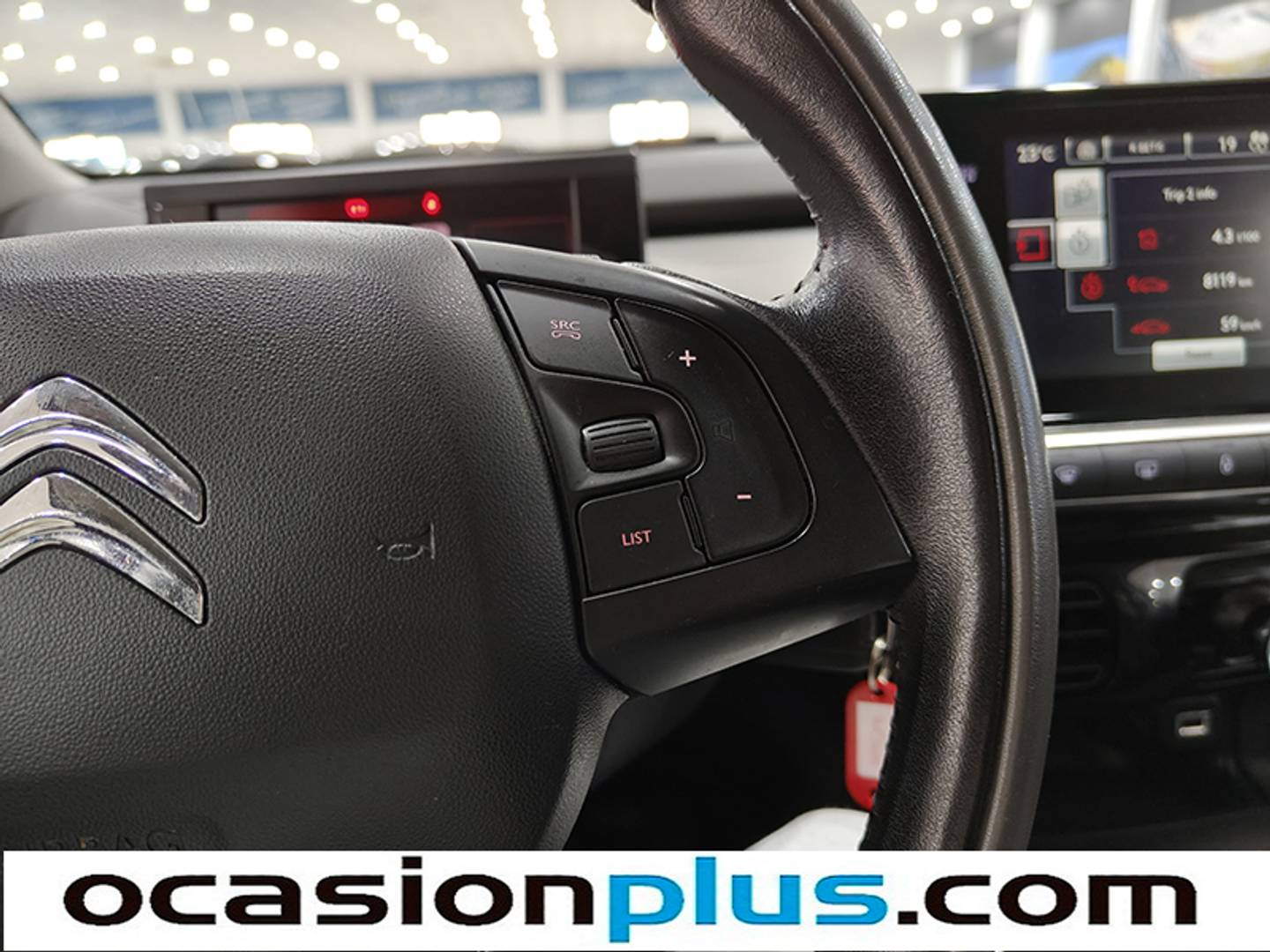 Foto Citroën C4 Cactus Citroen C4 Cactus BlueHDi 100 Shine (100 CV)