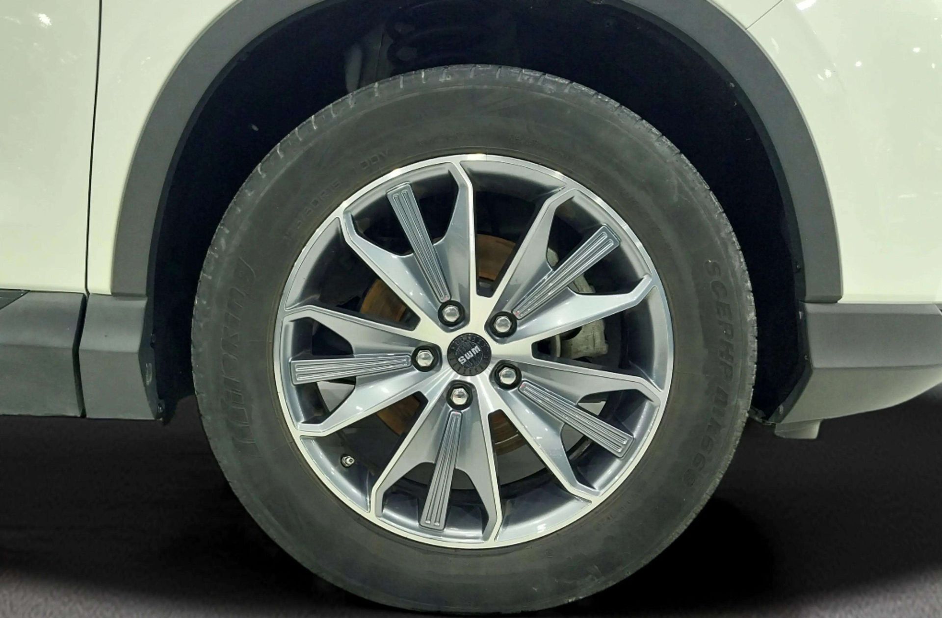 SWM G01 1.5T Luxury - foto 37