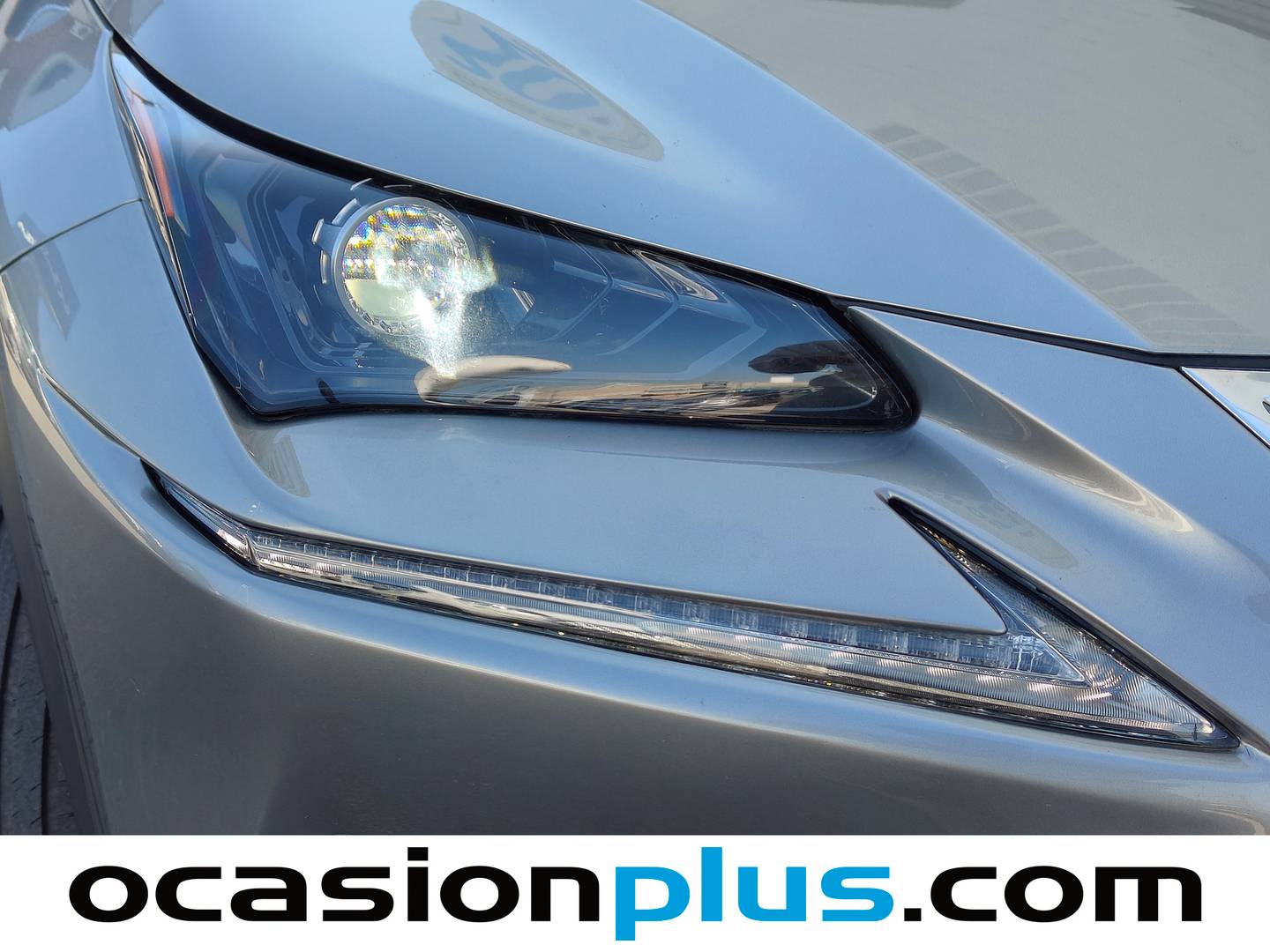 Paquetes del Lexus NX Lexus NX 300h Executive Navigation 4WD (197 CV)