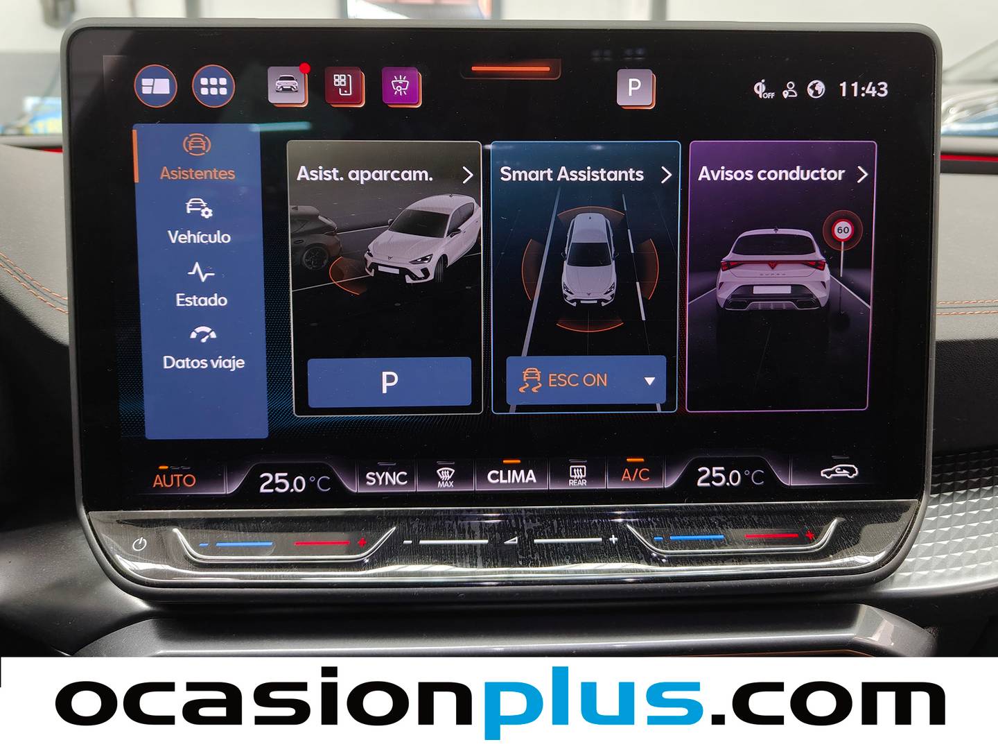 Extras del Cupra León CUPRA León 1.5 eTSI DSG (150 CV)