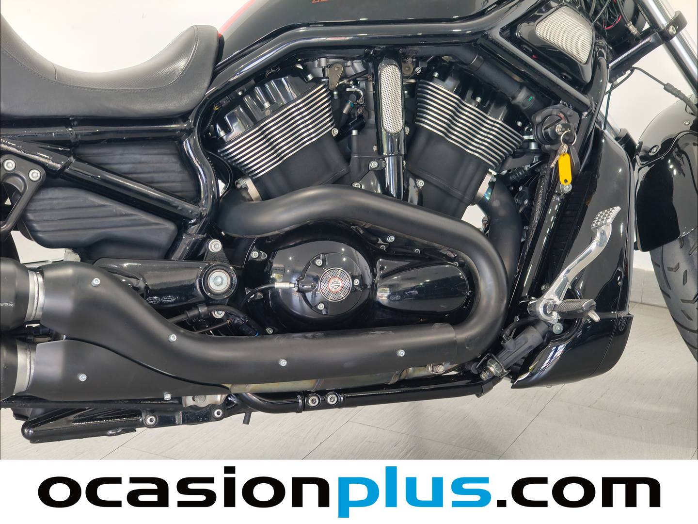 Harley-Davidson Night Rod Special (Solid) Harley-Davidson Night Rod Special (Solid) (125 CV) 125cv