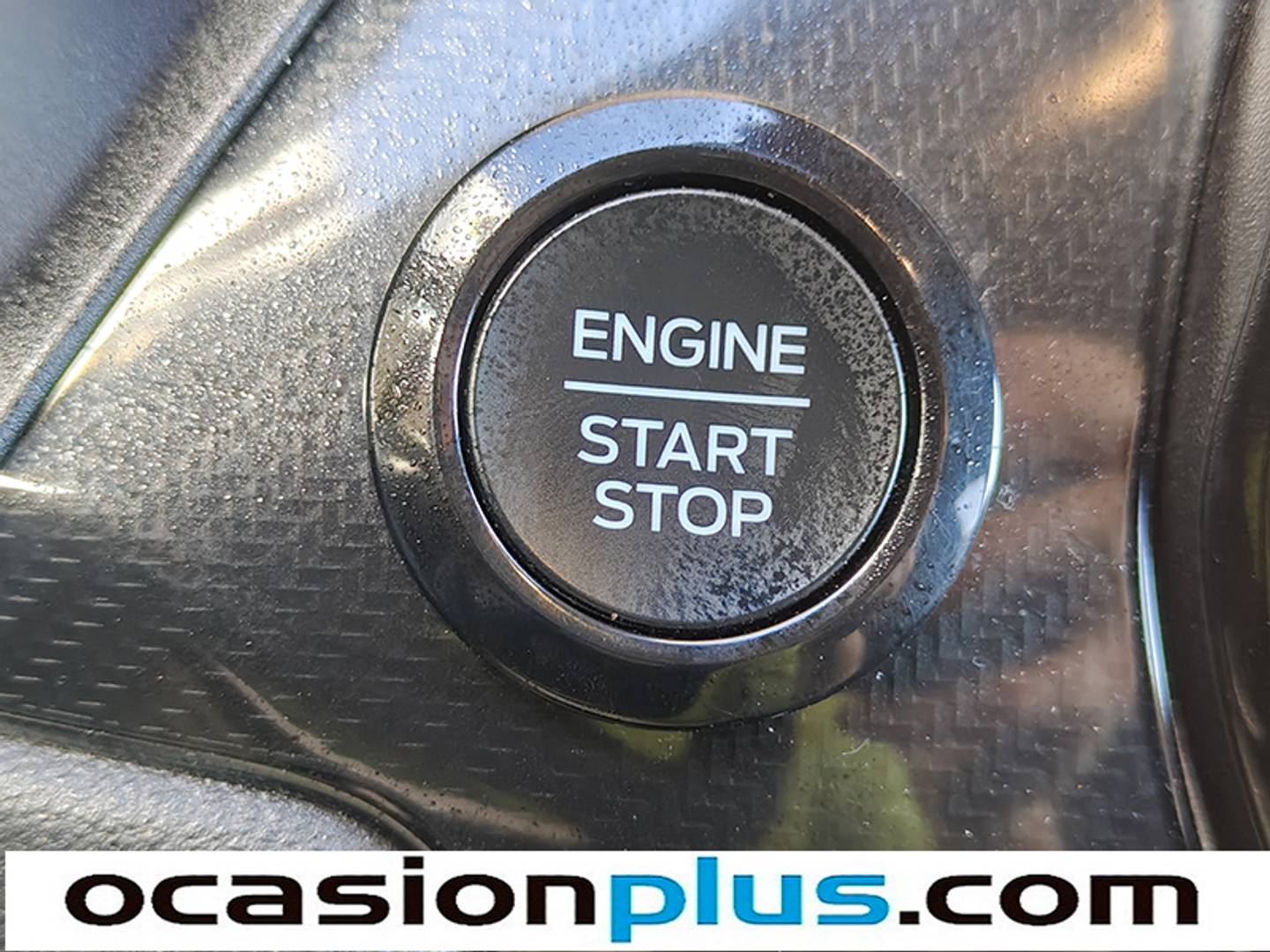 Foto Ford Puma Ford Puma 1.0 EcoBoost MHEV ST-Line Design Auto (125 CV)