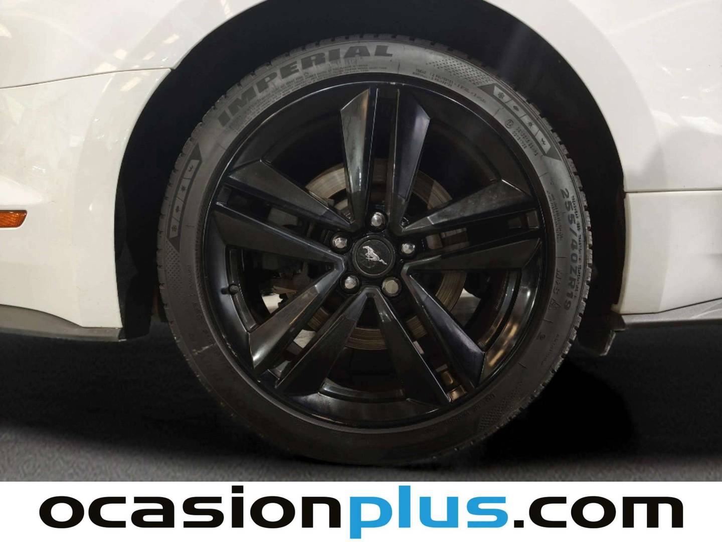 Ford Mustang Ford Mustang 2.3 EcoBoost Fastback Auto (314 CV) de ocasión