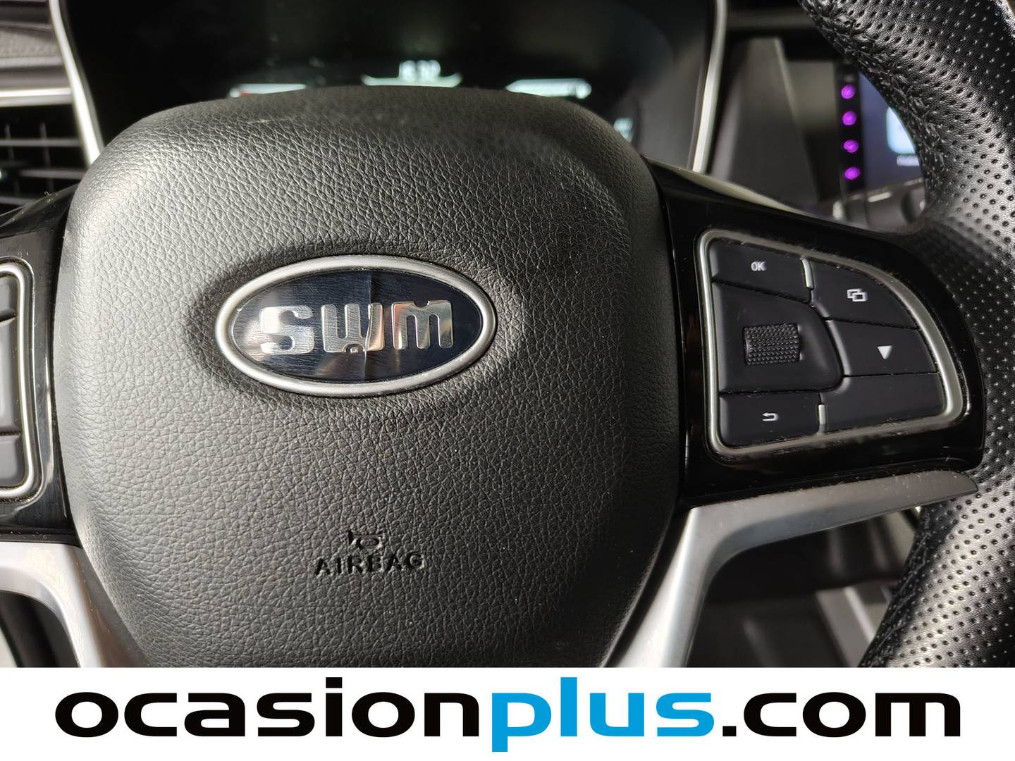 Foto SWM G01 SWM G01 1.5T Luxury (131 CV)