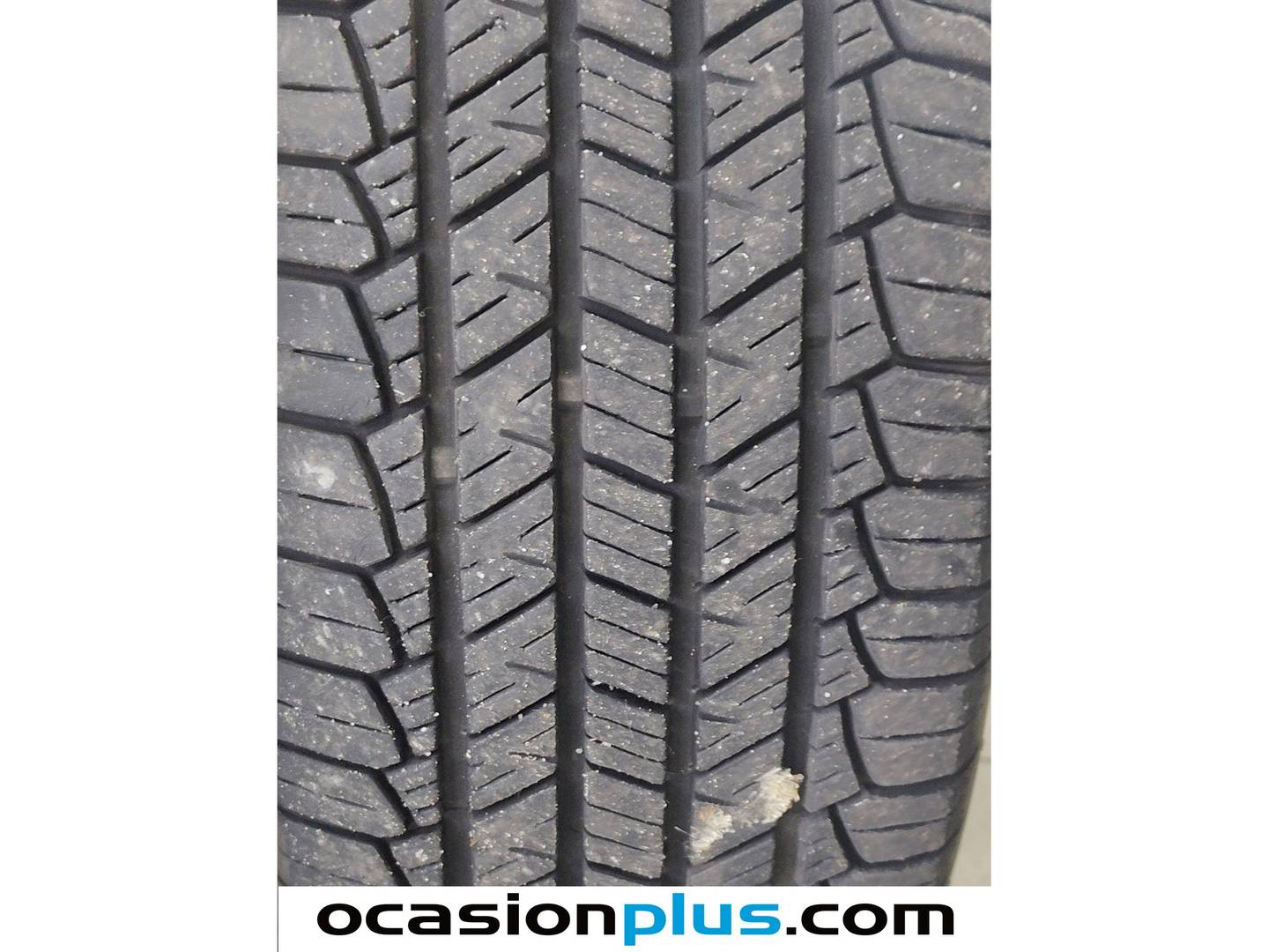 KIA Sportage KIA Sportage 1.6 CRDi Business 4x2 DCT (136 CV) diésel