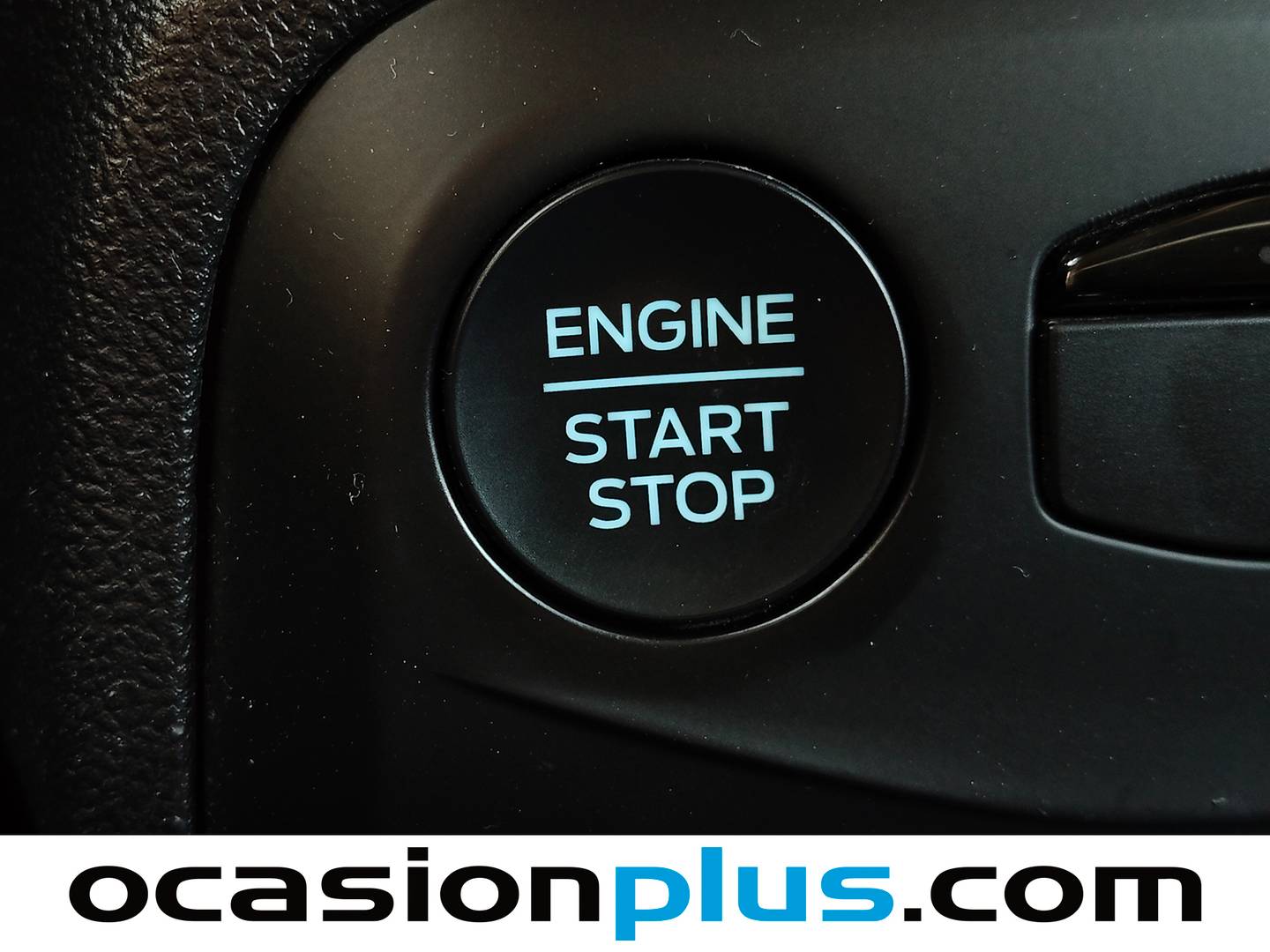 Ford Focus Ford Focus 1.0 Ecoboost MHEV Active (155 CV) km 0