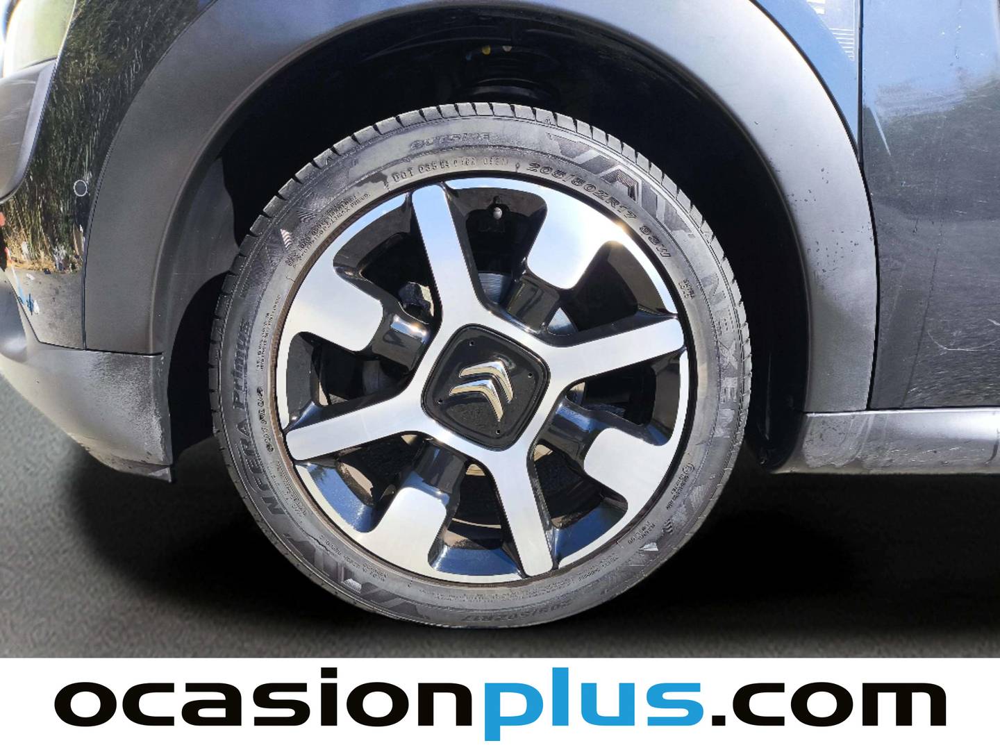 Citroën C4 Cactus Citroën C4 Cactus PureTech 110 S&S Rip Curl (110 CV) 2017