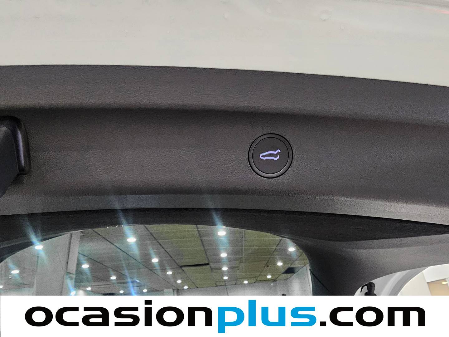 Tesla Model Y Tesla Model Y Tracción Trasera RWD (347 CV) automático