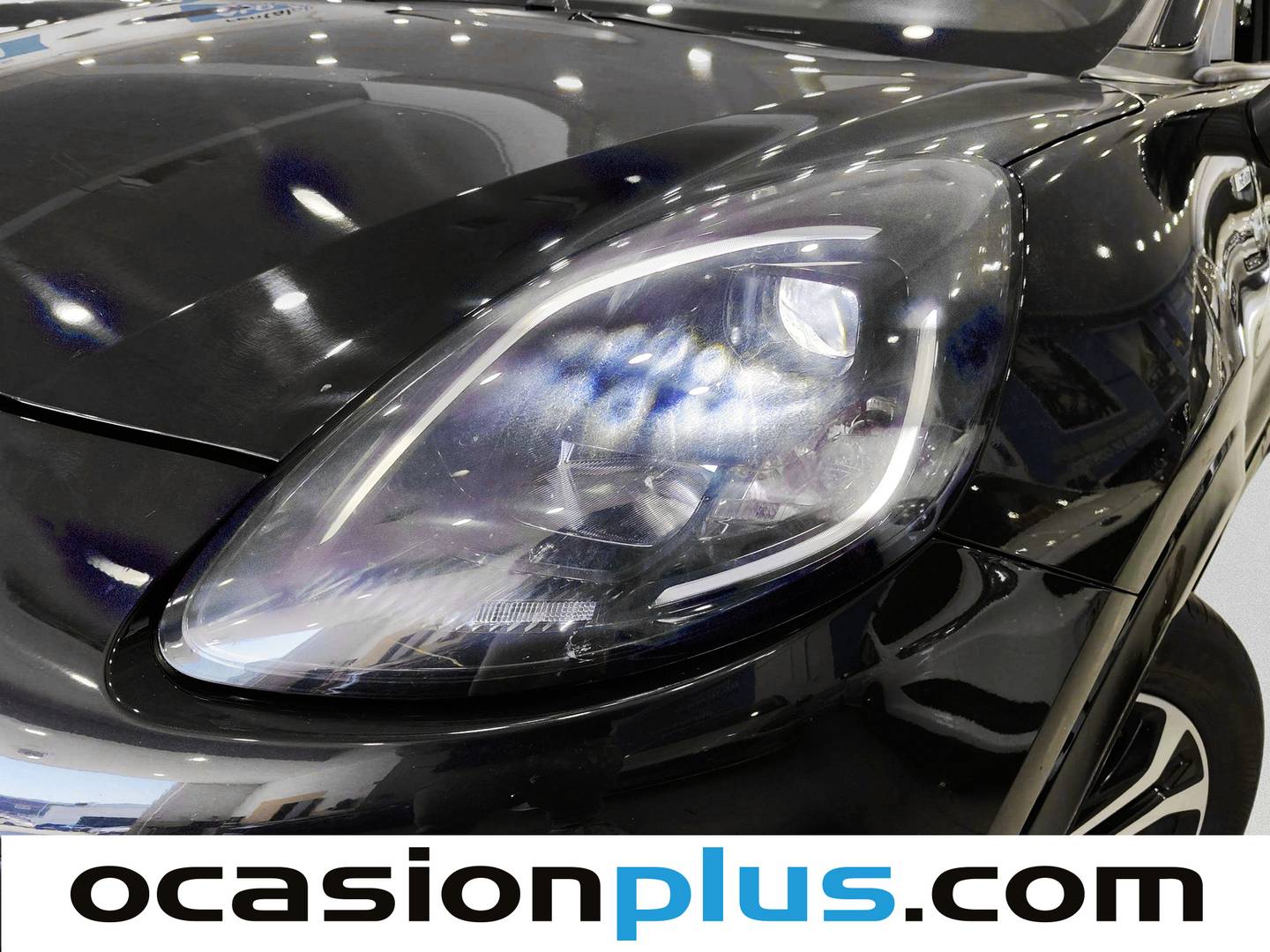 Accesorios del Ford Puma Ford Puma 1.0 EcoBoost MHEV ST-Line (125 CV)