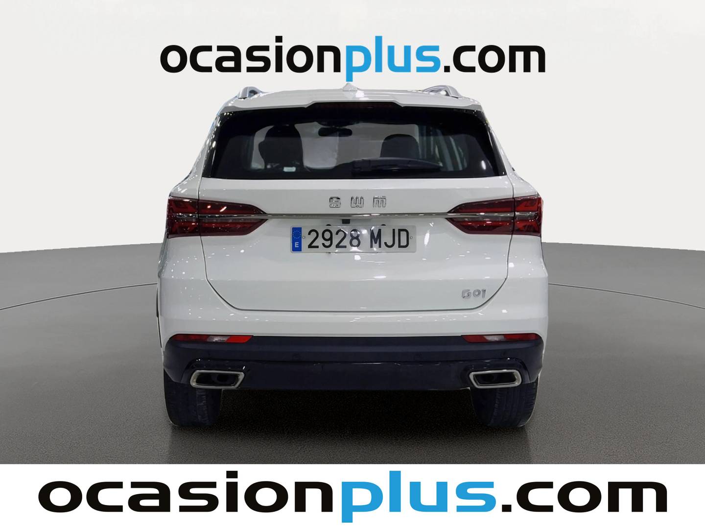 SWM G01 SWM G01 1.5T Luxury (131 CV) al mejor precio