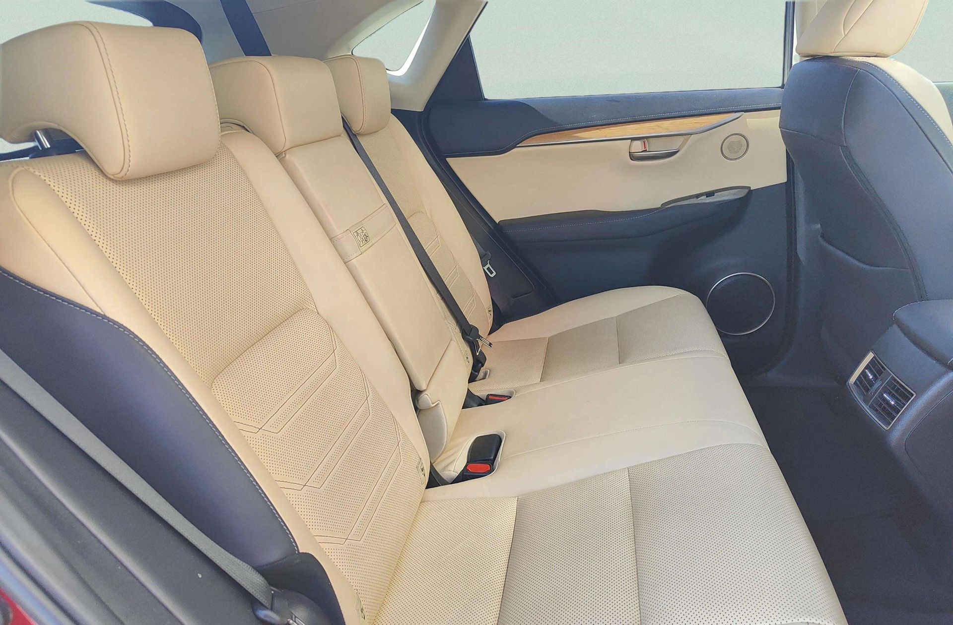 Lexus NX 2.5 300h Luxury 4WD - foto 20