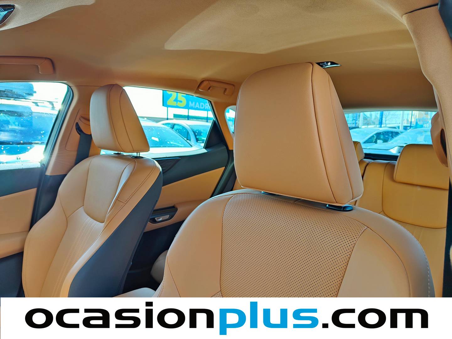 Extras del Lexus NX Lexus NX 350h Premium+ 2WD (242 CV)