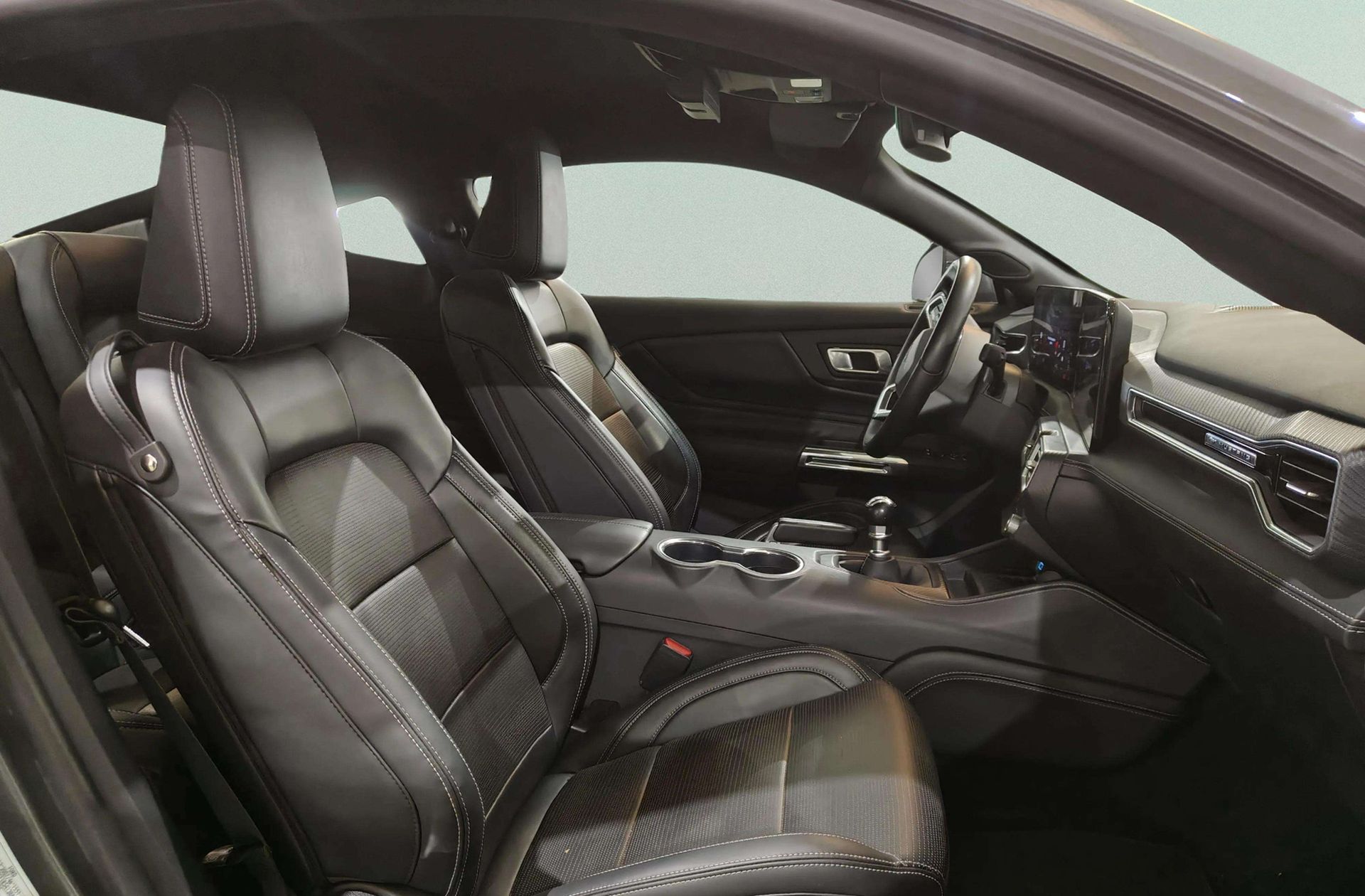 Ford Mustang 5.0 Ti-VCT V8 Mustang GT (Fastb.) - foto 21