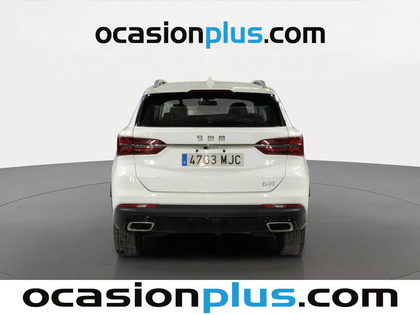 SWM G01 SWM G01 1.5T Luxury (131 CV) gasolina