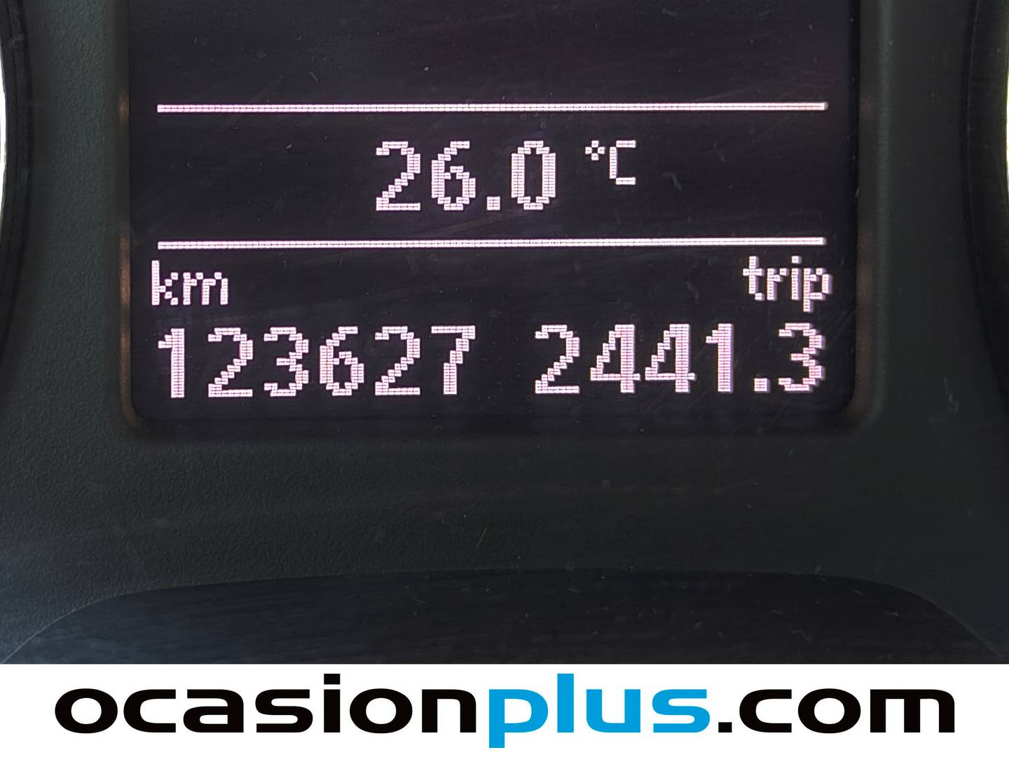 Skoda Fabia Skoda Fabia 1.6 TDI Ambition (75 CV) seminuevo