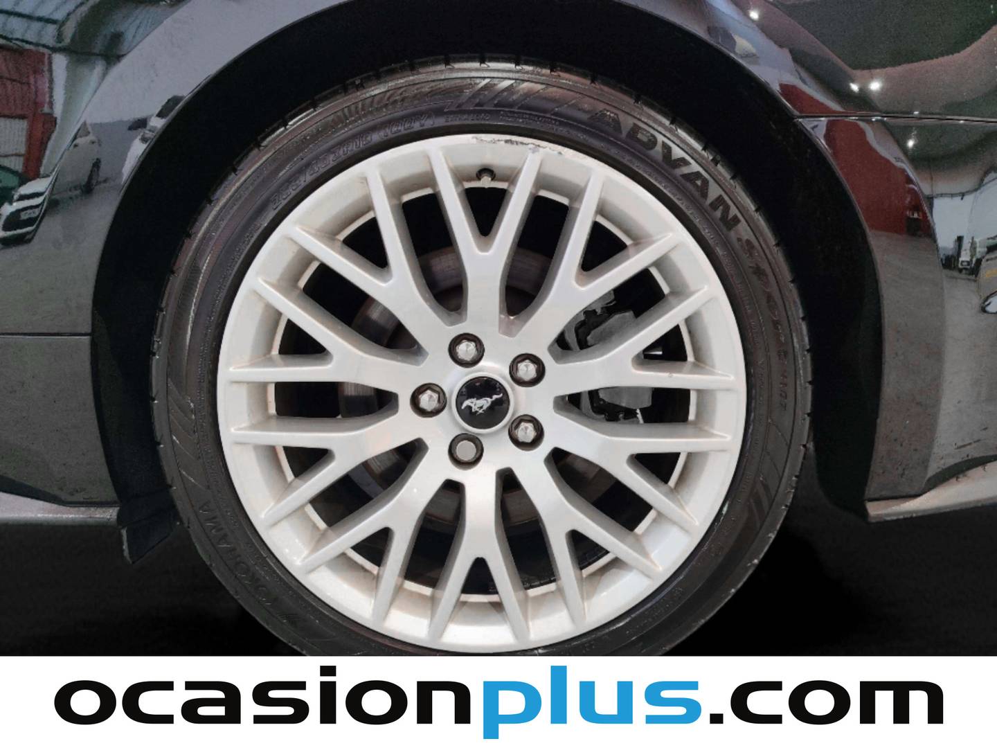 Ford Mustang Ford Mustang 2.3 EcoBoost Mustang (Fastback) (314 CV) al mejor precio