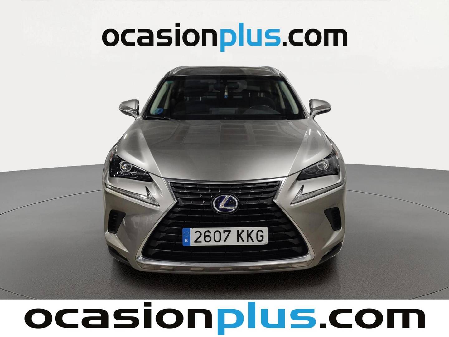 Lexus NX Lexus NX 300h Business 2WD (197 CV) 197cv