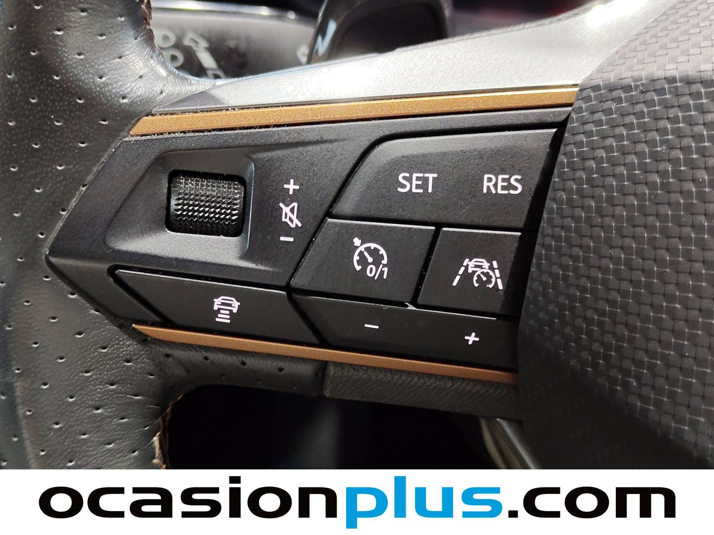 Cupra Formentor Cupra Formentor 1.5 TSI DSG (150 CV) barato