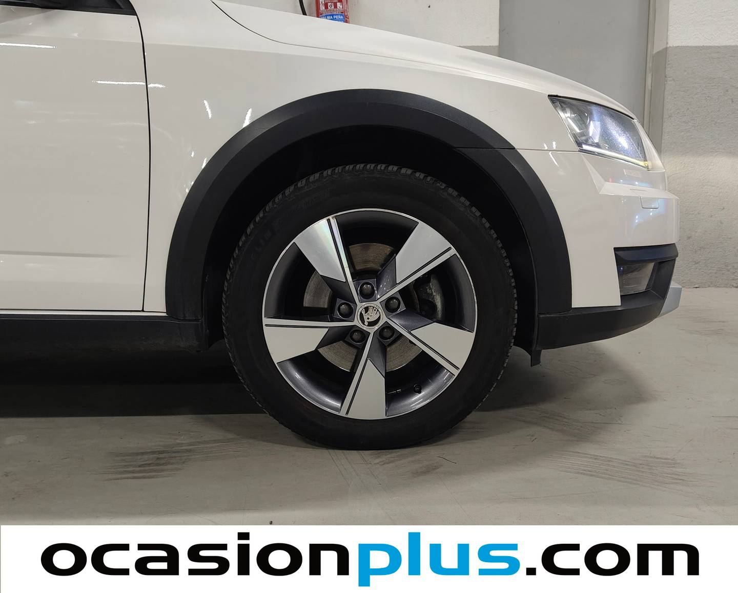 Skoda Scout Skoda Scout 2.0 TDI CR DSG 4x4 (184 CV) seminuevo