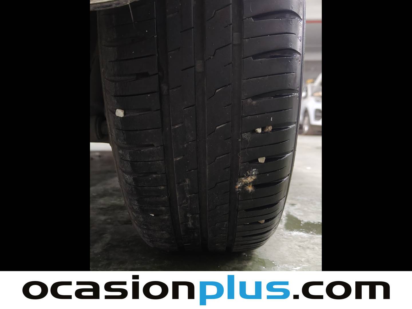 Fiat 500 Fiat 500 1.2 8v Lounge (69 CV) gasolina